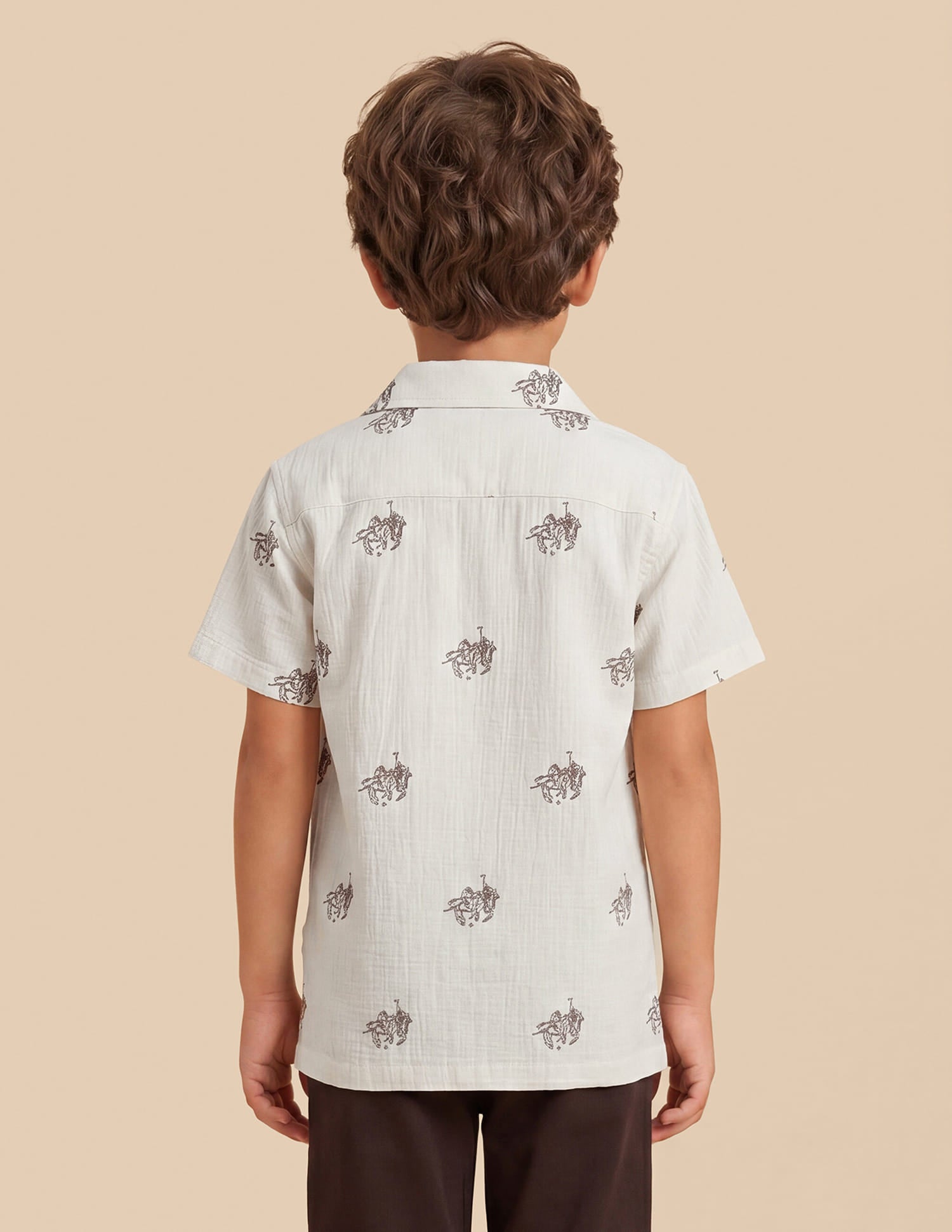 Embroidered Regular Fit Shirt White - U.S. Polo Assn. India | Large