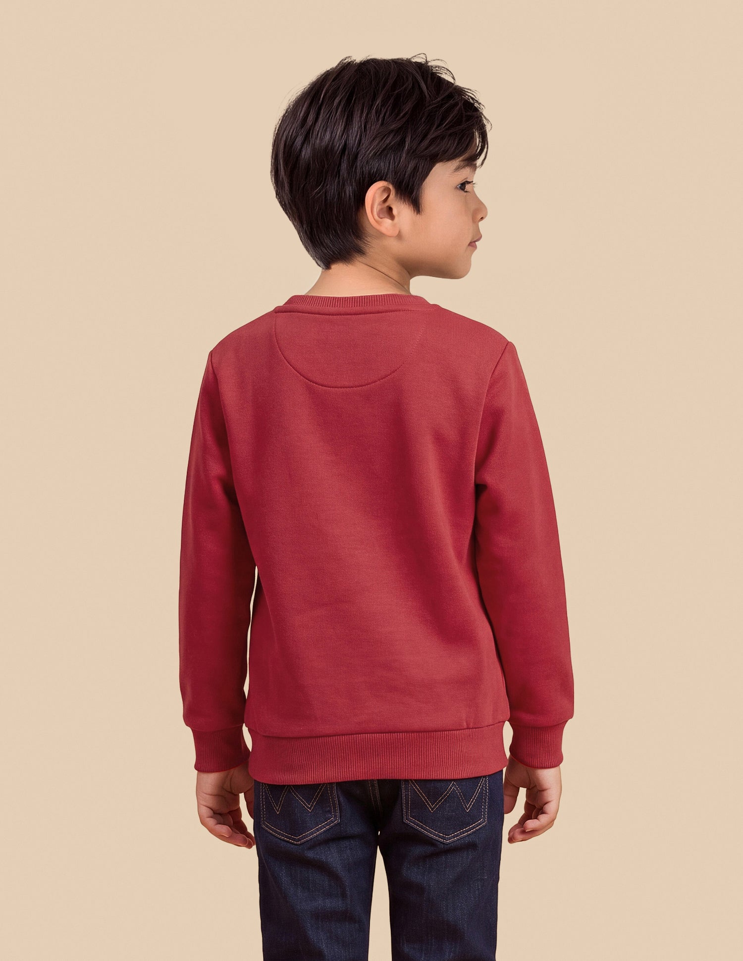 Graphic Brand Embroidered Regular Fit Sweatshirt Red - U.S. Polo Assn. India | Large
