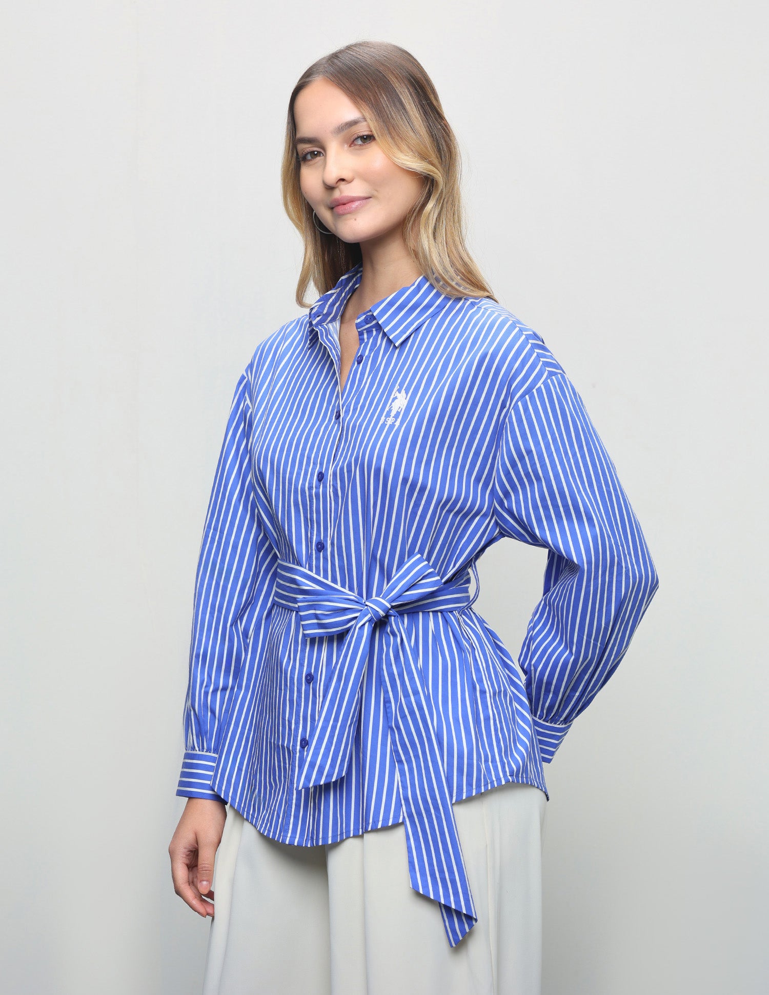 Vertical Striped Regular Fit Shirt Blue - U.S. Polo Assn. India | Large