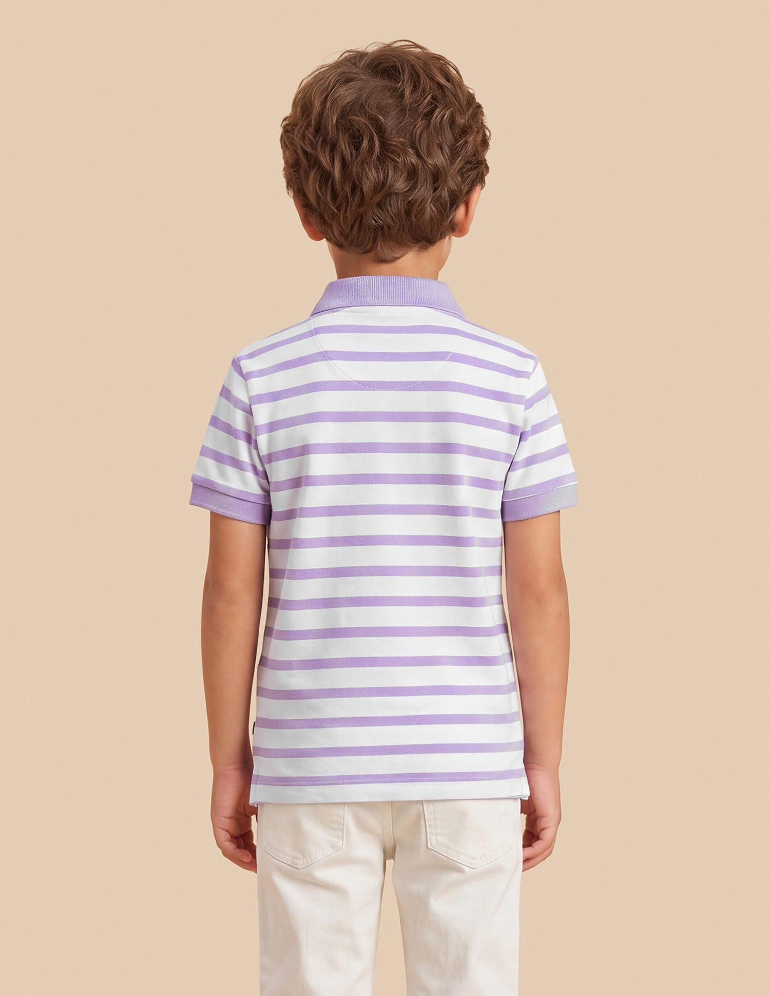 Horizontal Striped Regular Fit Polo Shirt Purple - U.S. Polo Assn. India | Large