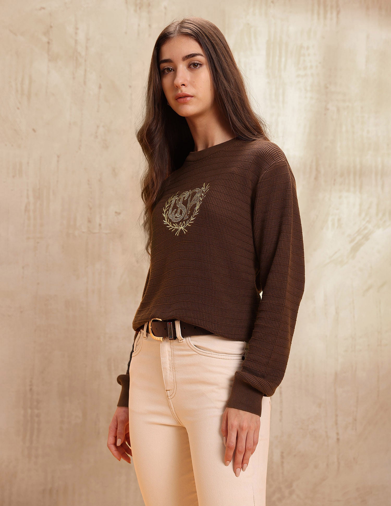 Regular Fit Brand Embroidered Sweatshirt Brown - U.S. POLO ASSN. | Large