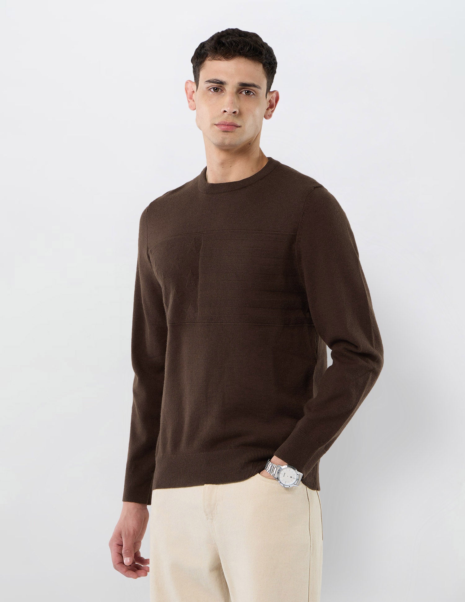 Patterned Knit Regular Fit Sweater Brown - U.S. POLO ASSN. | Large