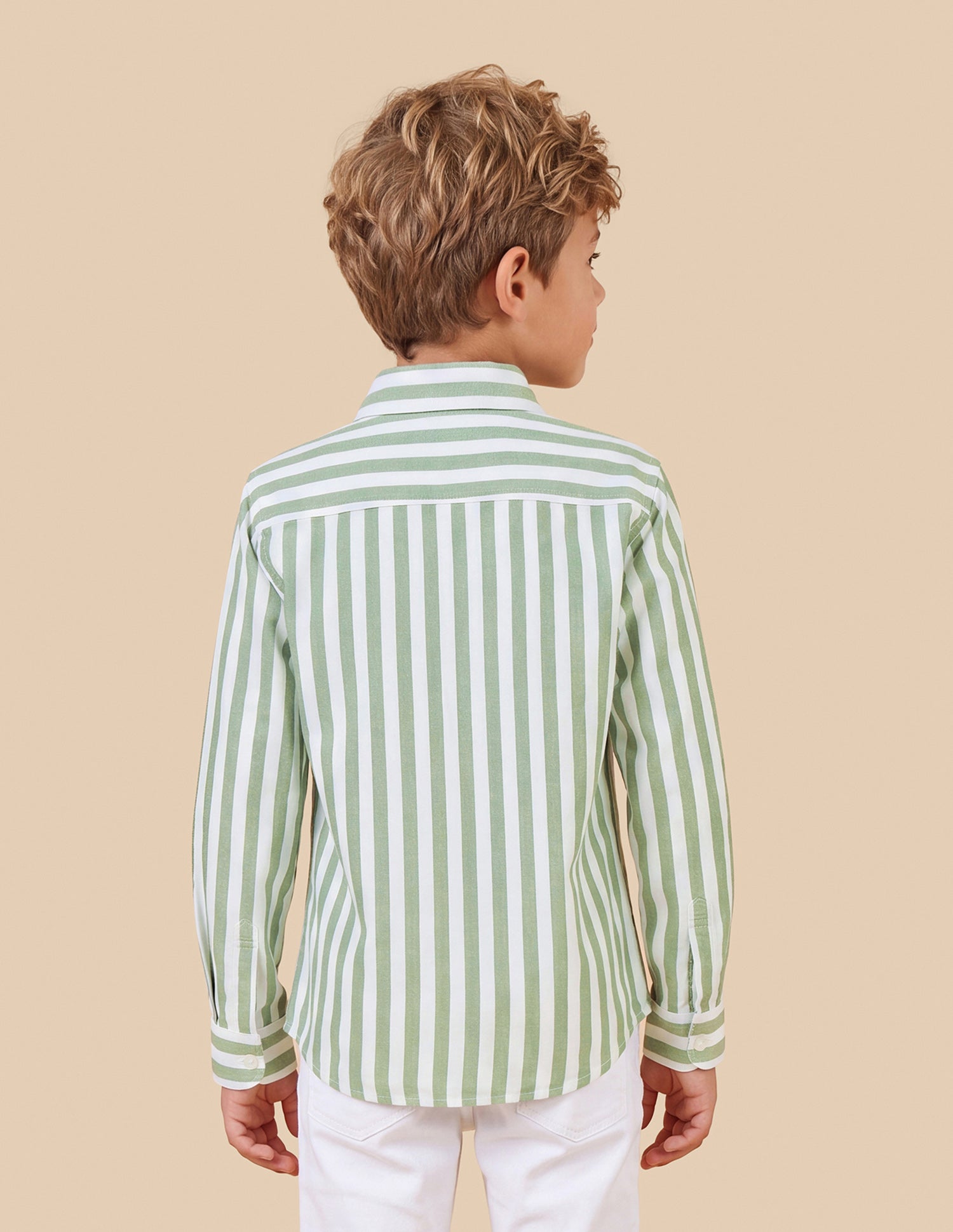 Vertical Striped Oxford Shirt Green - U.S. Polo Assn. India | Large