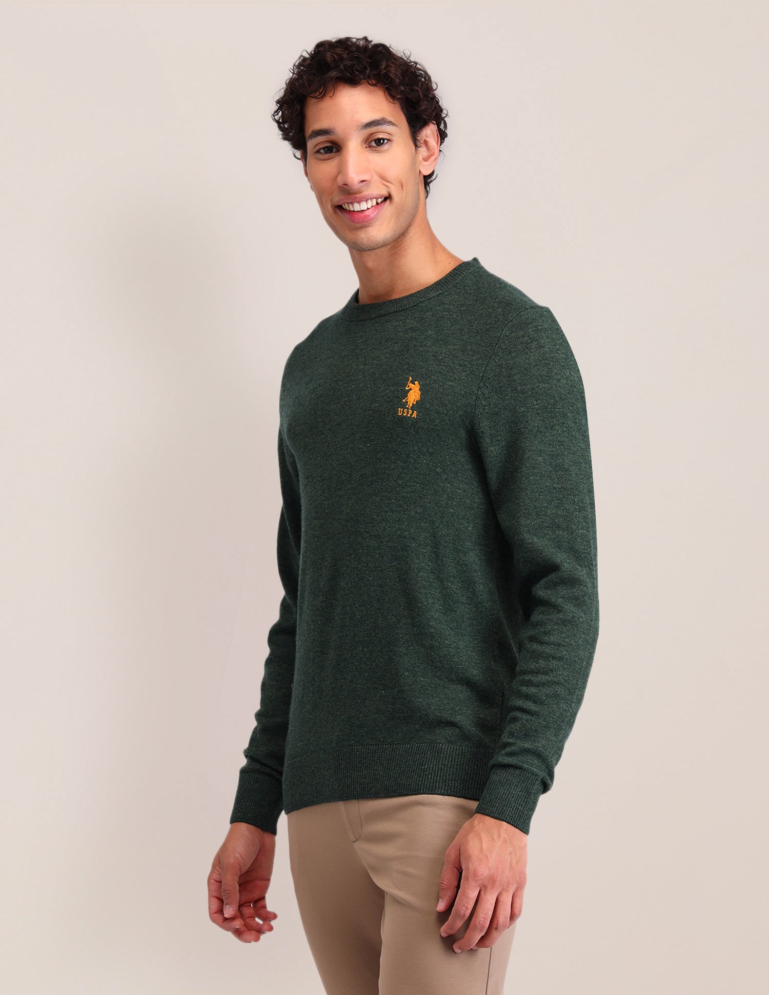 Textured Regular Fit Sweater Olive - U.S. Polo Assn. India | Large