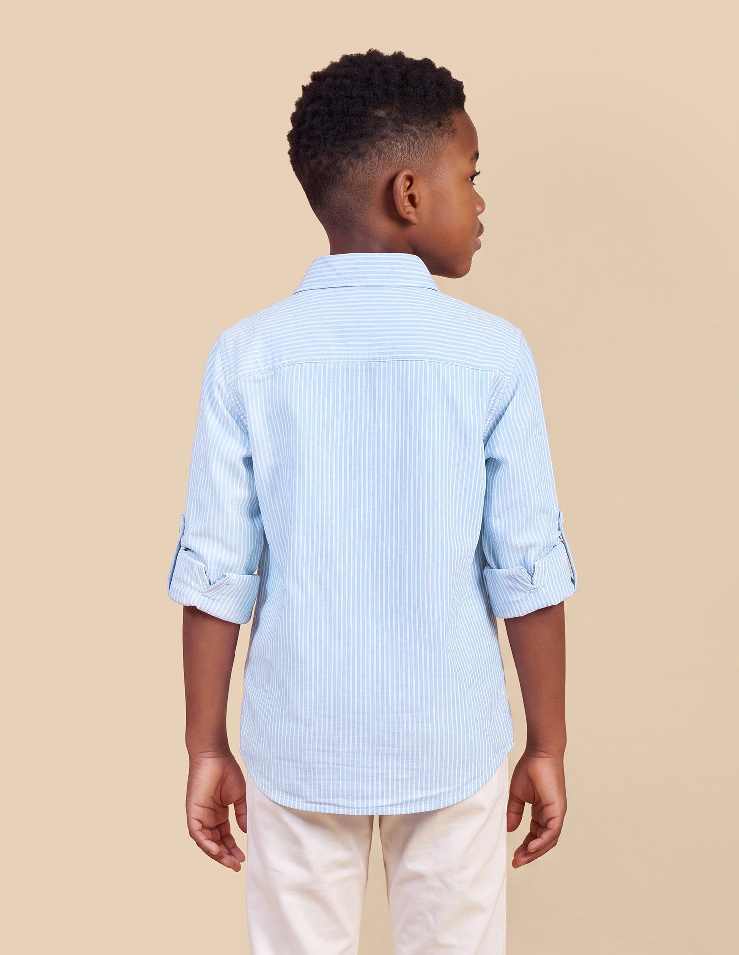 Vertical Striped Oxford Shirt Light Blue - U.S. Polo Assn. India | Large