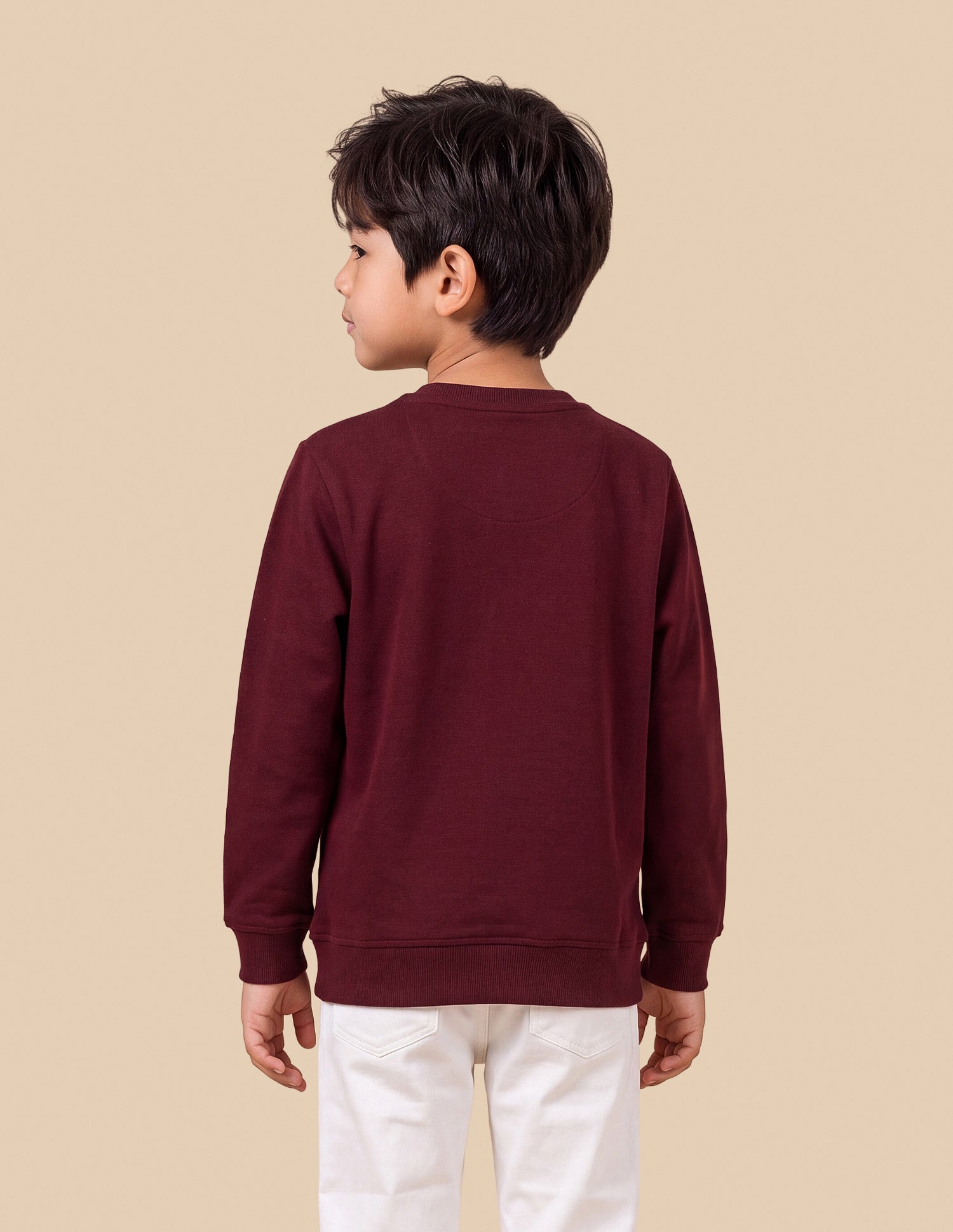Brand Applique Regular Fit Sweatshirt Maroon - U.S. Polo Assn. India | Large