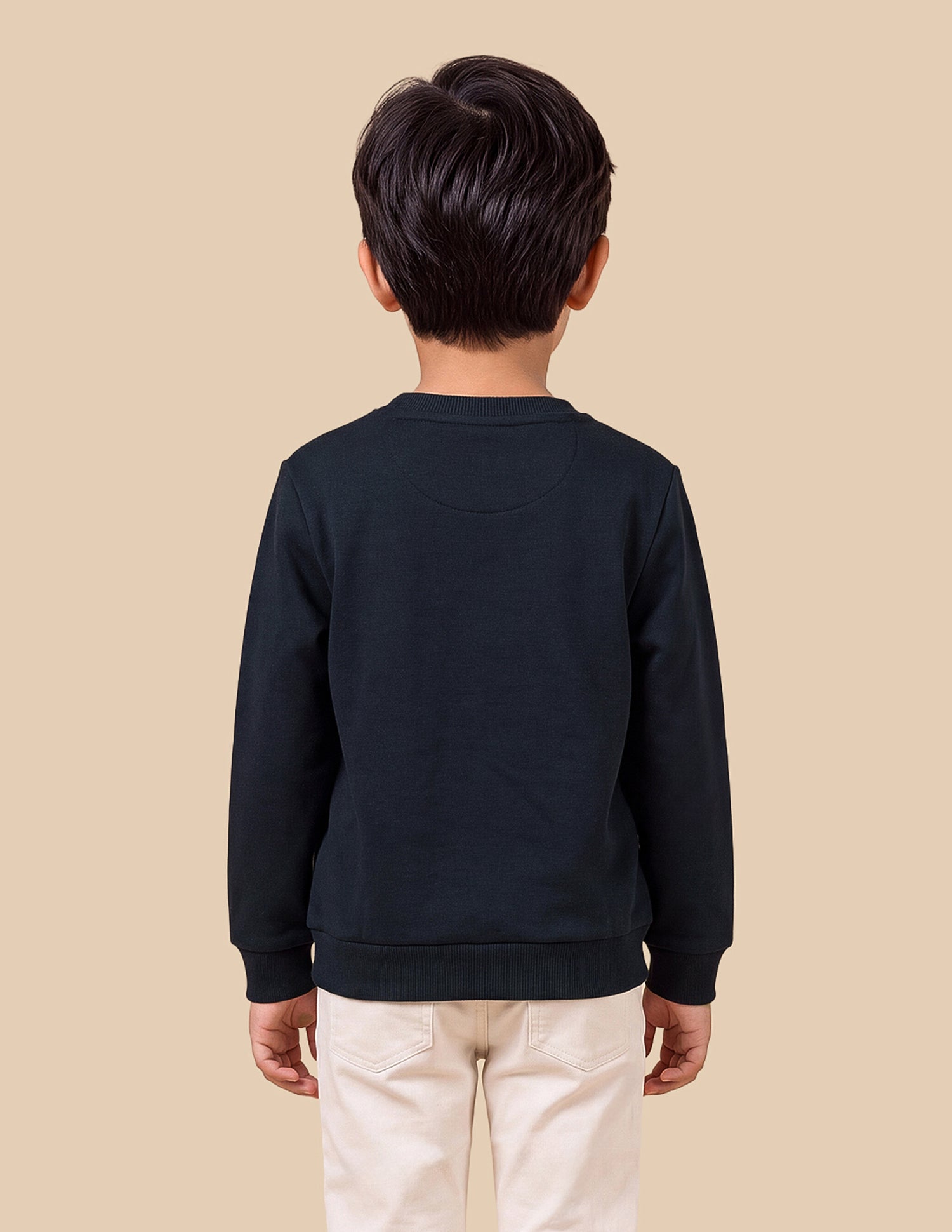Graphic Brand Embroidered Regular Fit Sweatshirt Navy - U.S. Polo Assn. India | Large