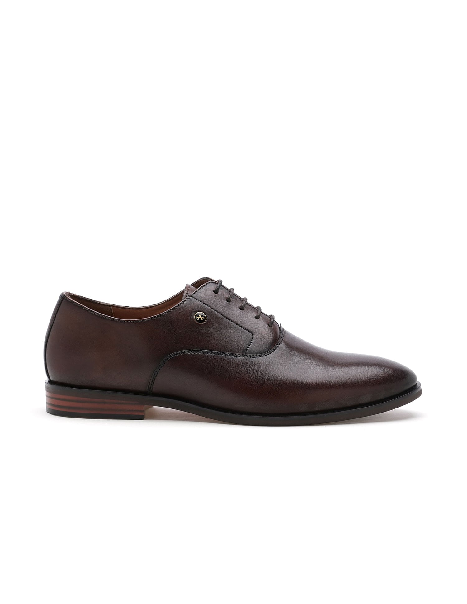 Pelican 3.0 Solid Leather Shoes Brown - U.S. Polo Assn. India | Large