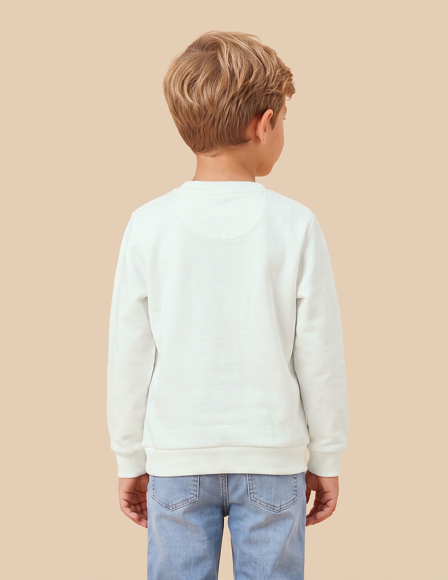 Graphic Brand Printed Regular Fit Sweatshirt White - U.S. Polo Assn. India | Large