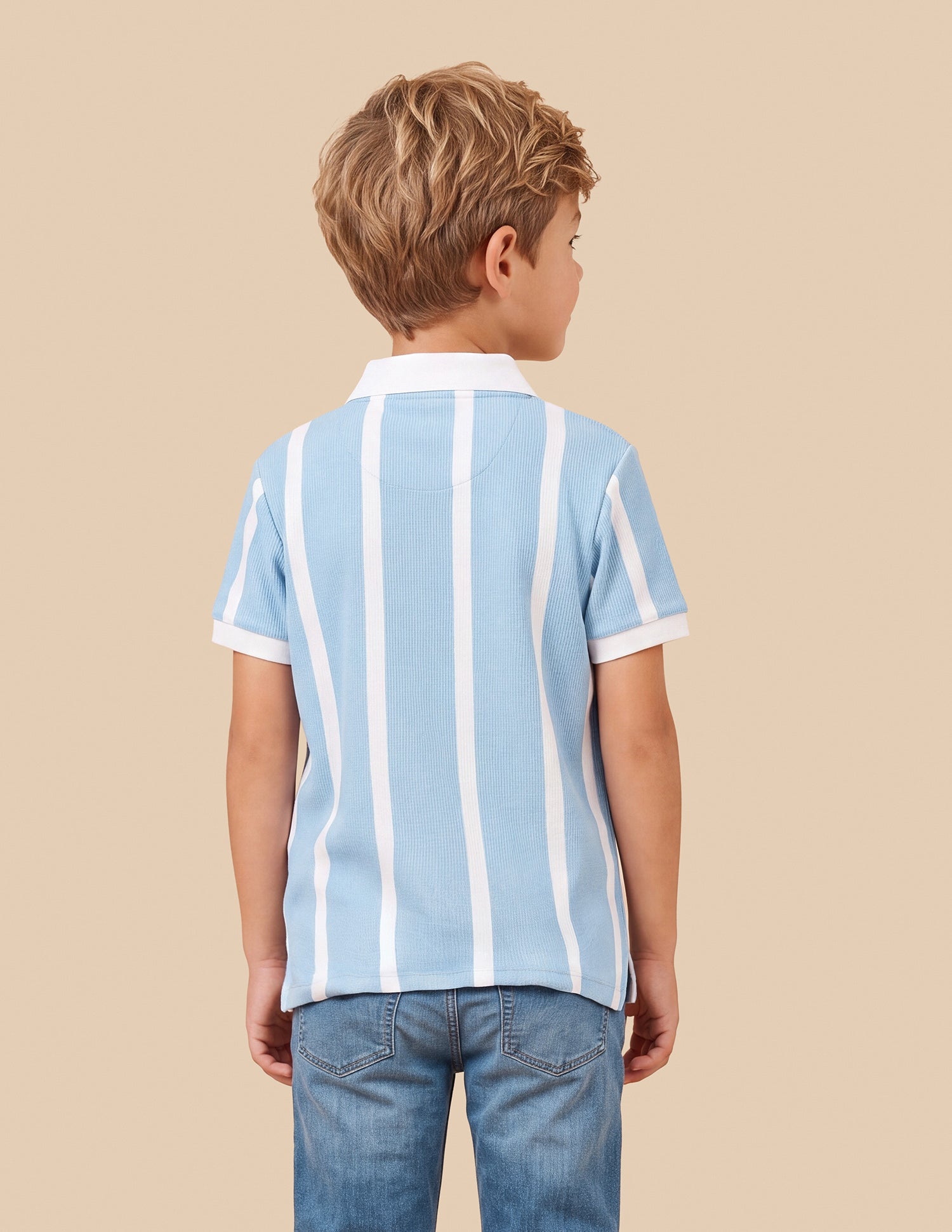 Vertical Striped Regular Fit Polo Shirt Light Blue - U.S. Polo Assn. India | Large