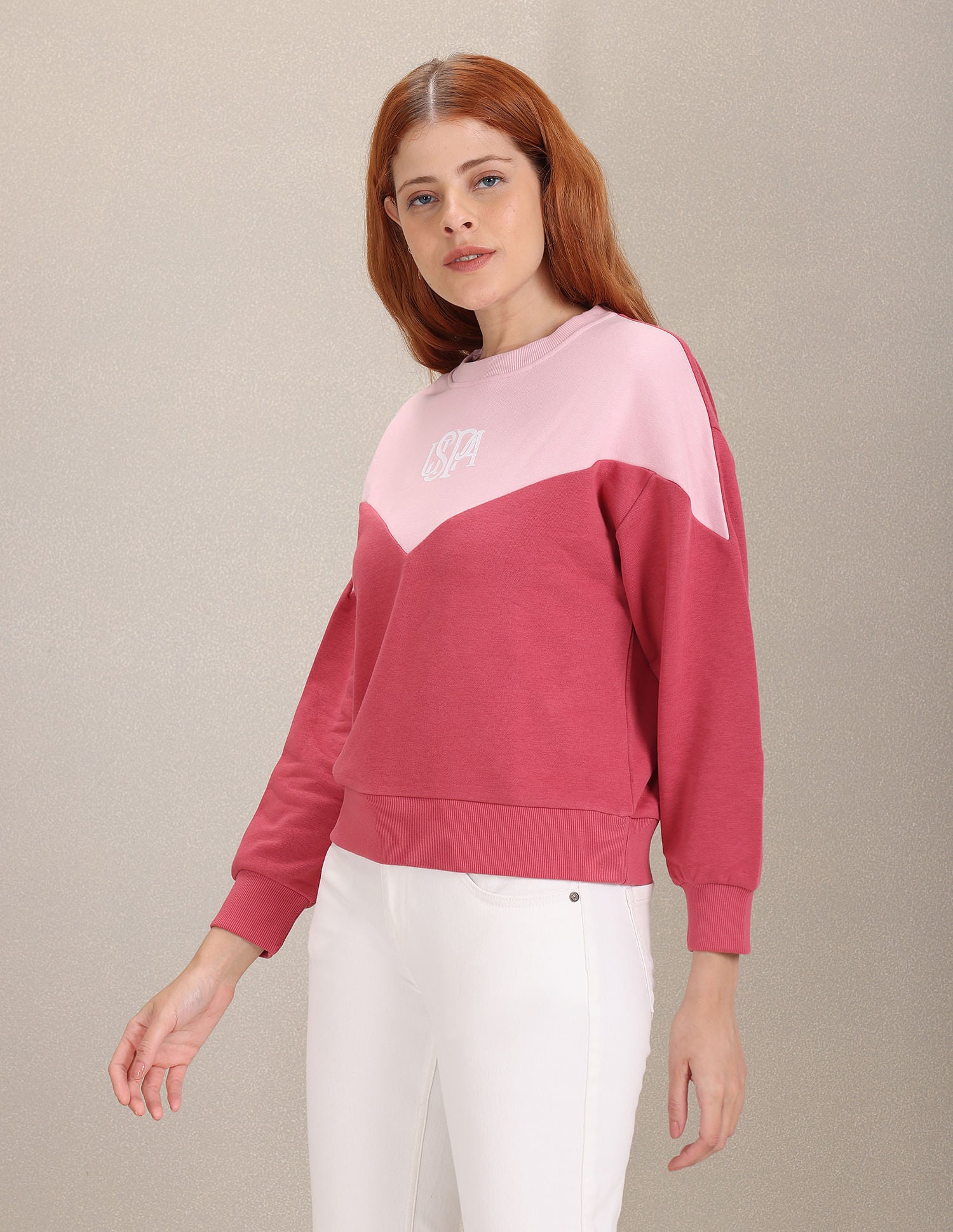 Crew Neck Colour Block Sweatshirt Mauve - U.S. Polo Assn. India | Large