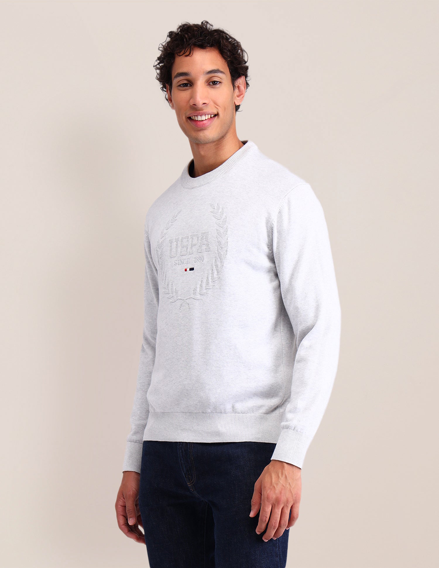 Brand Printed Regular Fit Sweater Beige - U.S. Polo Assn. India | Large