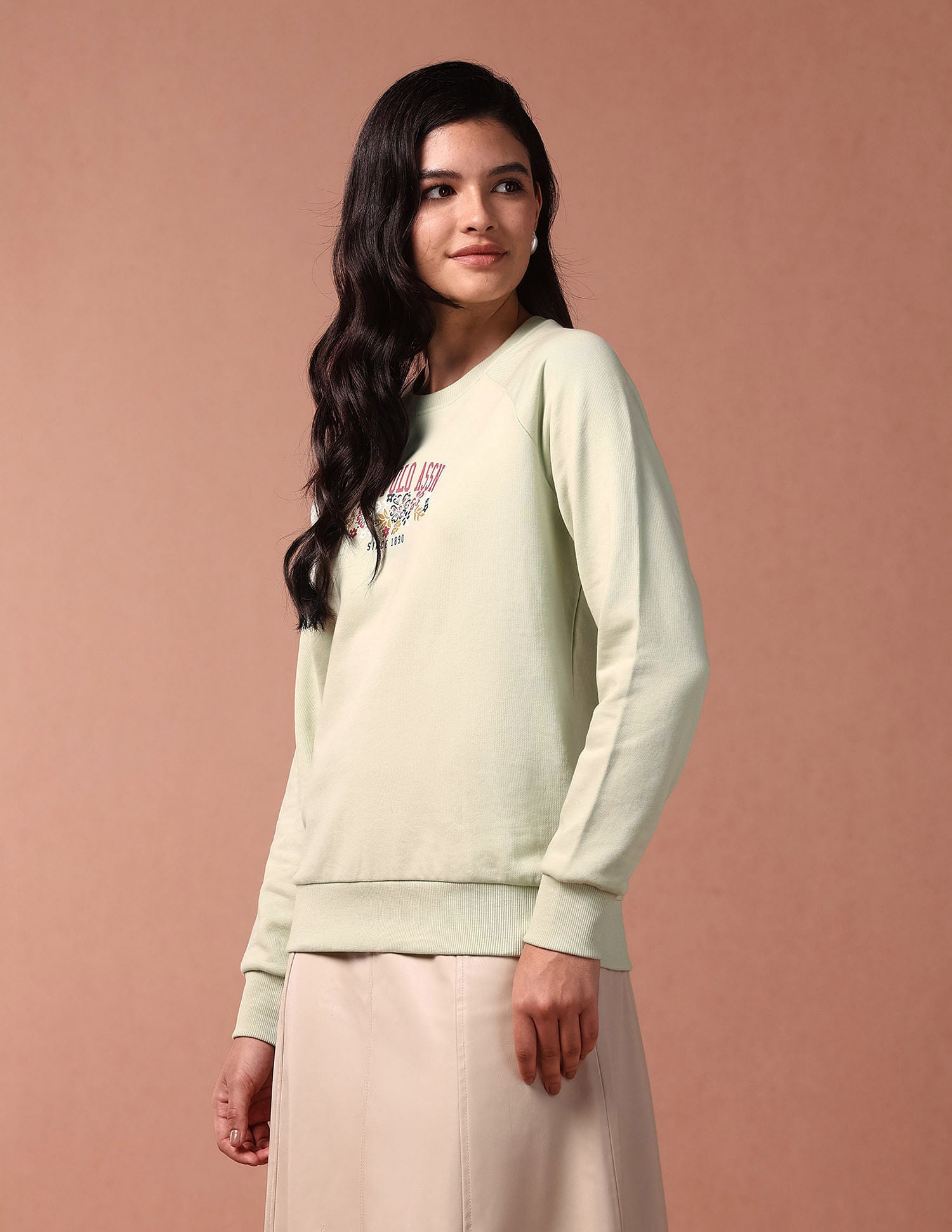 Brand Print Raglan Sweatshirt Mint - U.S. Polo Assn. India | Large