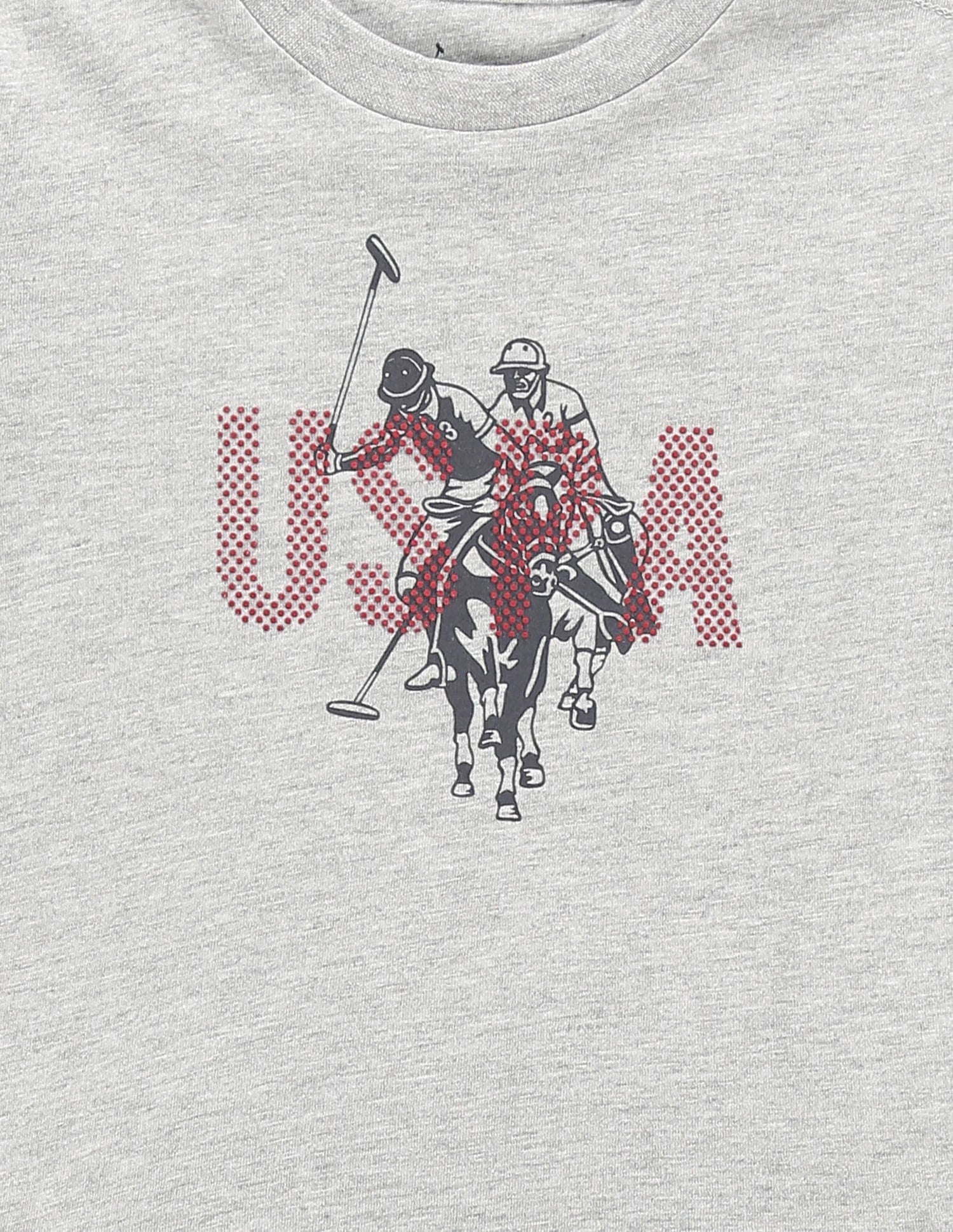Boys Brand Print T-Shirt Grey - U.S. Polo Assn. India | Large