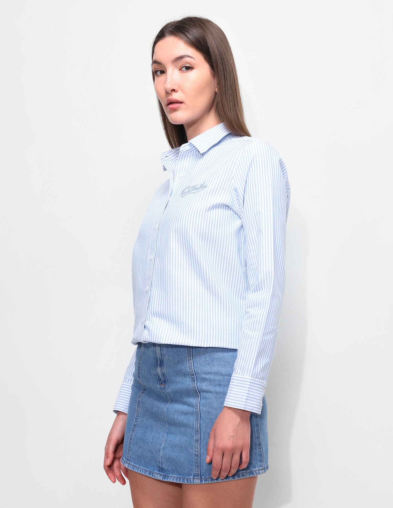 Vertical Striped Regular Fit Shirt Light Blue - U.S. Polo Assn. India | Large