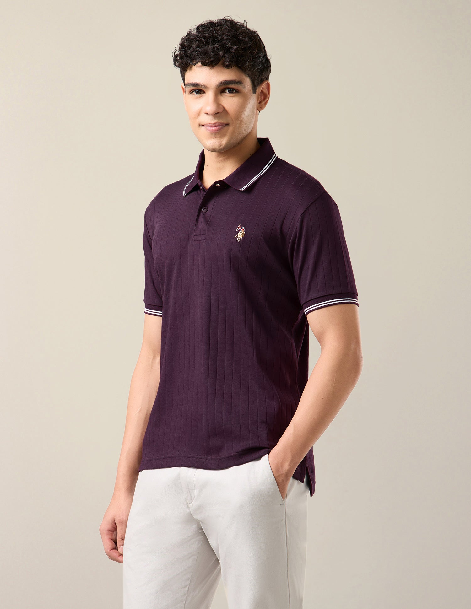 Patterned Knit Slim Fit Polo Shirt Purple - U.S. Polo Assn. India | Large
