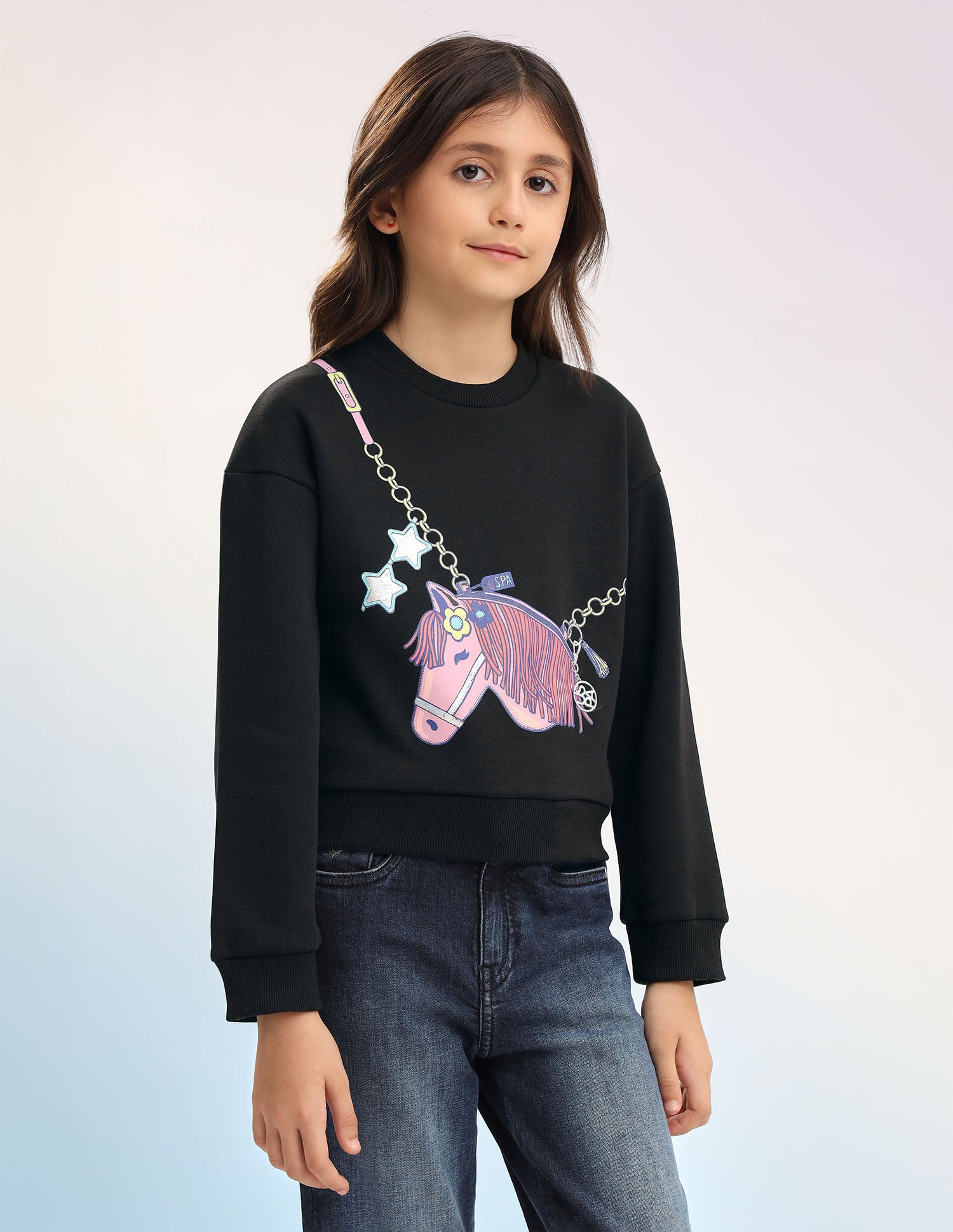 Graphic Printed Regular Fit Sweatshirt Black - U.S. POLO ASSN. | Large