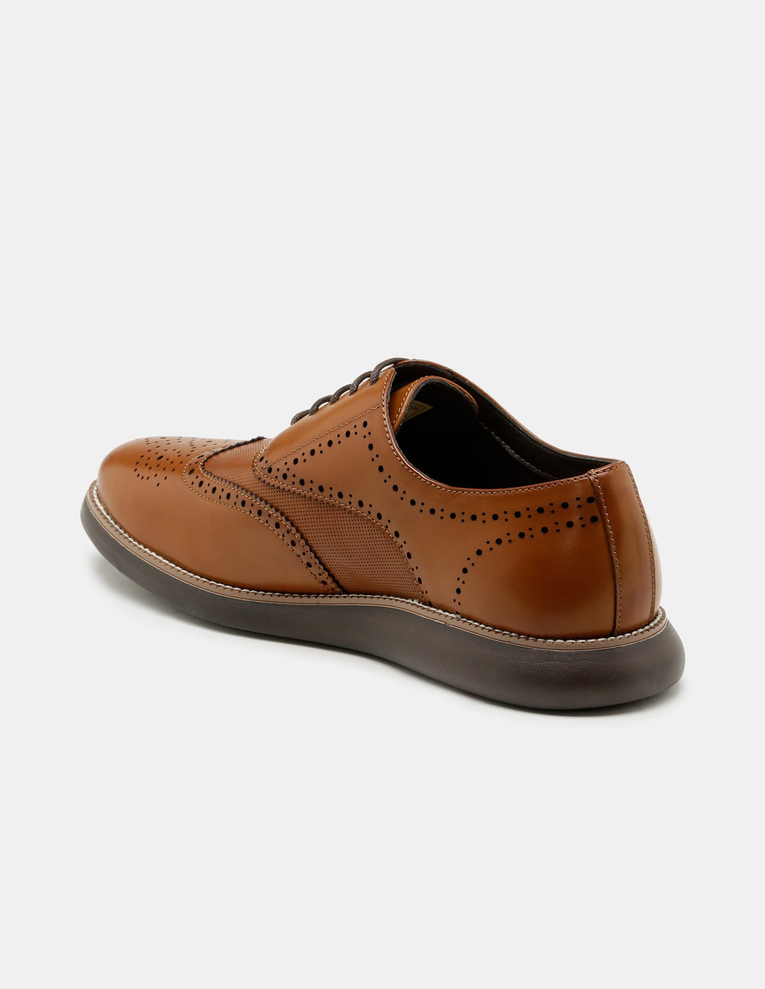 Round Toe Wingtip Marco 2.0 Brogues Tan - U.S. Polo Assn. India | Large