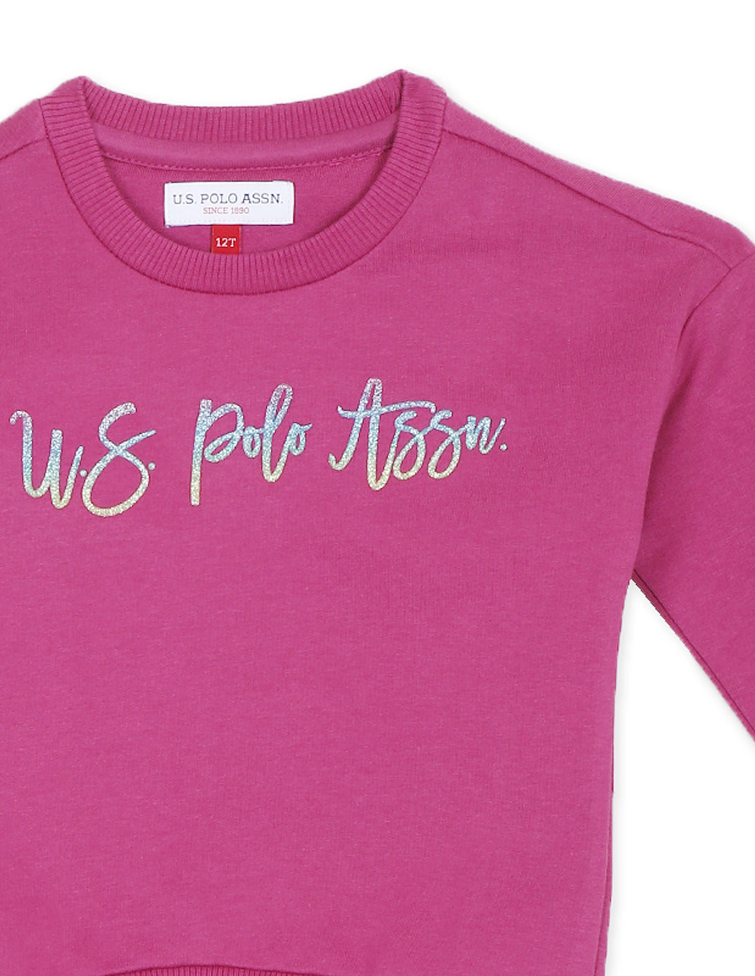 Crew Neck Logo Sweatshirt Dark Pink - U.S. POLO ASSN. | Large