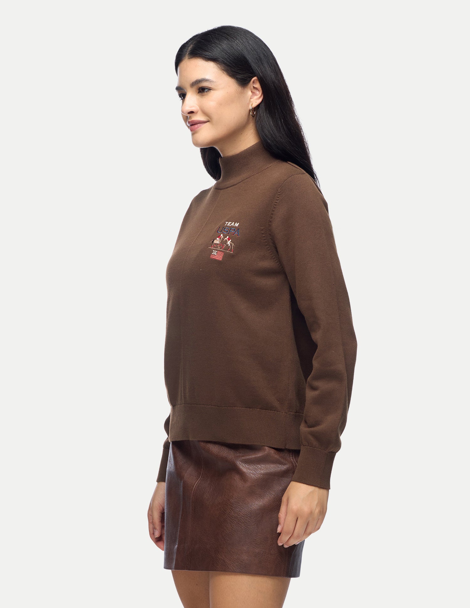 Solid Regular Fit Sweater Brown - U.S. Polo Assn. India | Large
