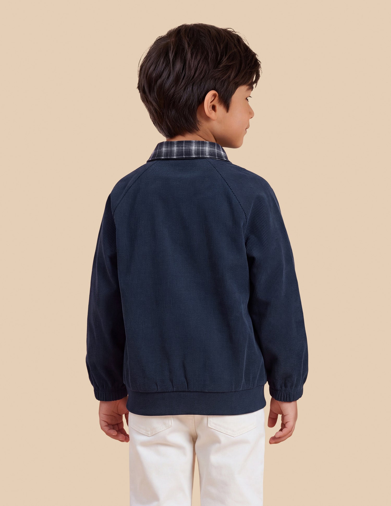 Solid Regular Fit Sweatshirt Navy - U.S. Polo Assn. India | Large