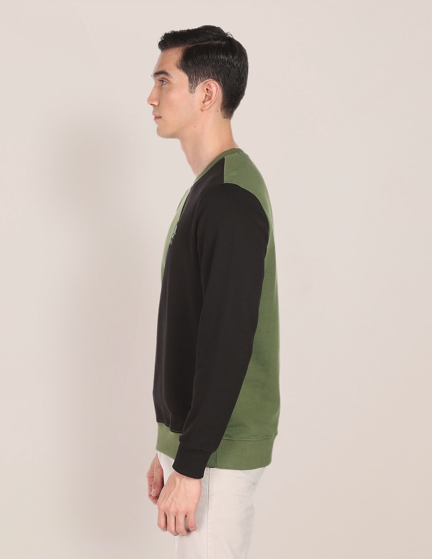 Crew Neck Panelled Two Tone Sweatshirt Olive - U.S. Polo Assn. India | Large