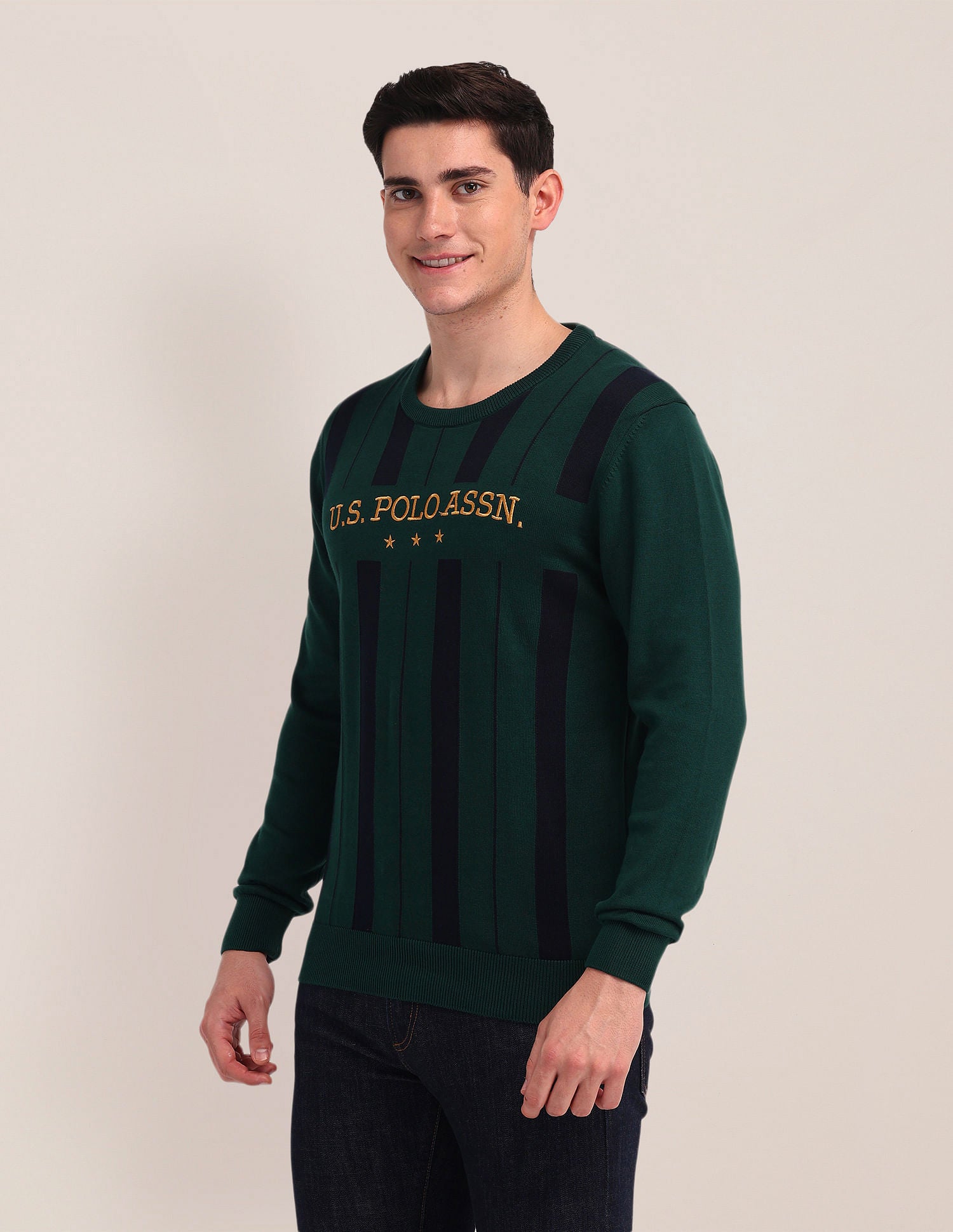 Vertical Striped Embroidered Sweater Olive - U.S. Polo Assn. India | Large