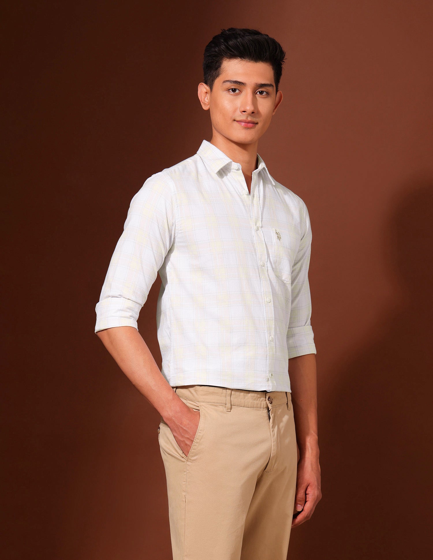 Grid Tattersall Checked Pure Cotton Shirt Beige - U.S. Polo Assn. India | Large