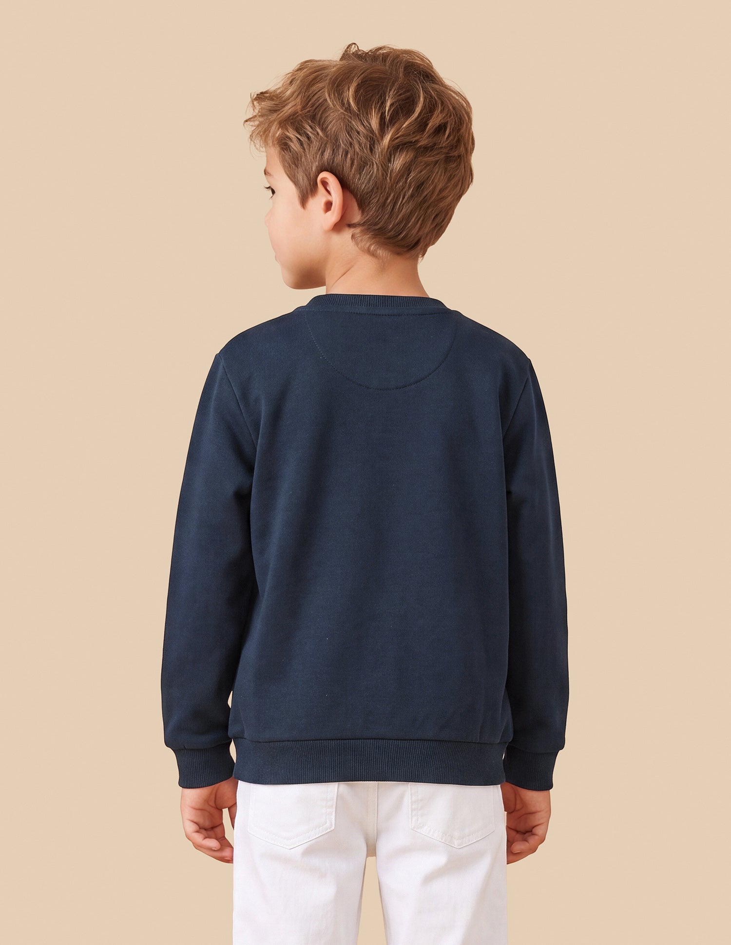 Graphic Brand Printed Regular Fit Sweatshirt Navy - U.S. Polo Assn. India | Large