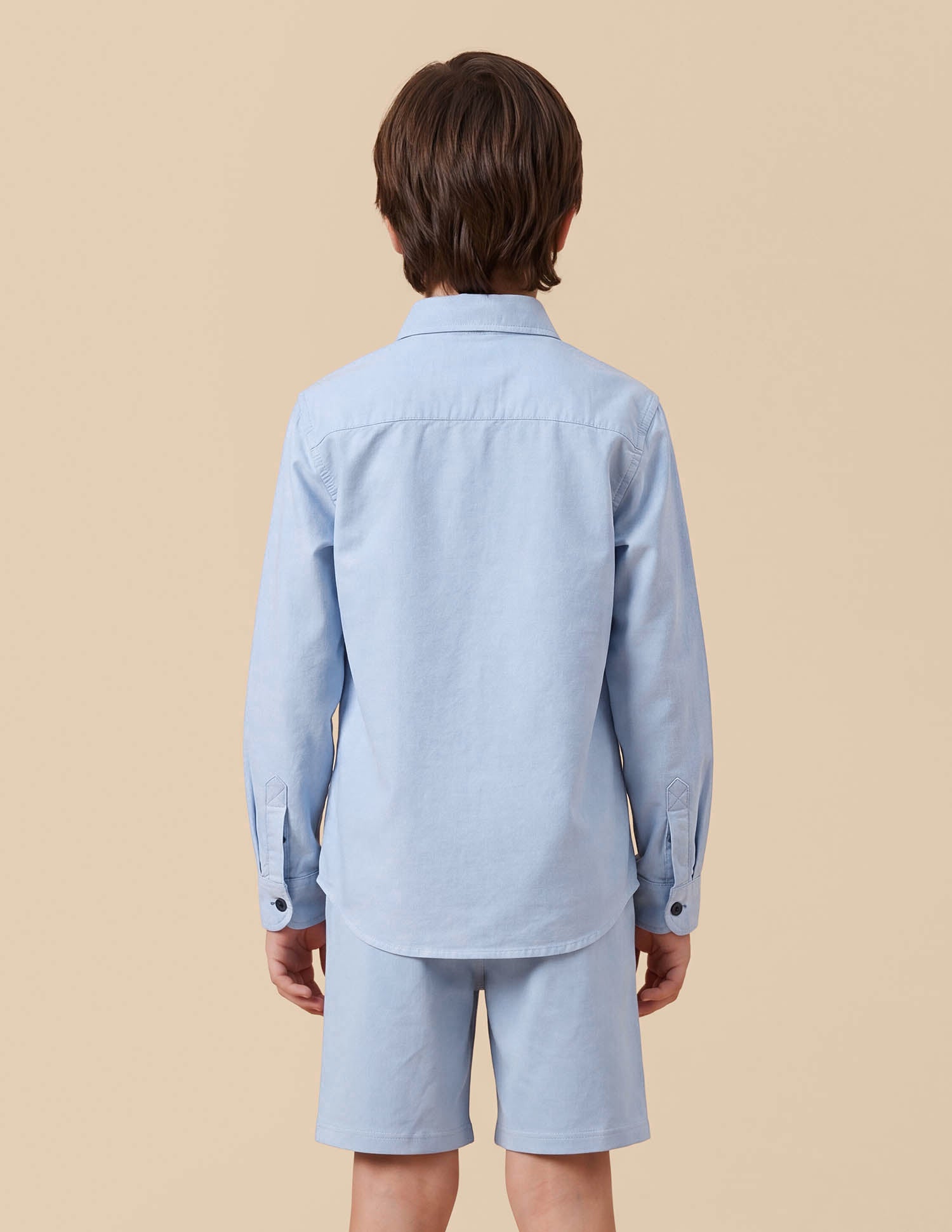 Colourblocked Oxford Shirt Light Blue - U.S. Polo Assn. India | Large