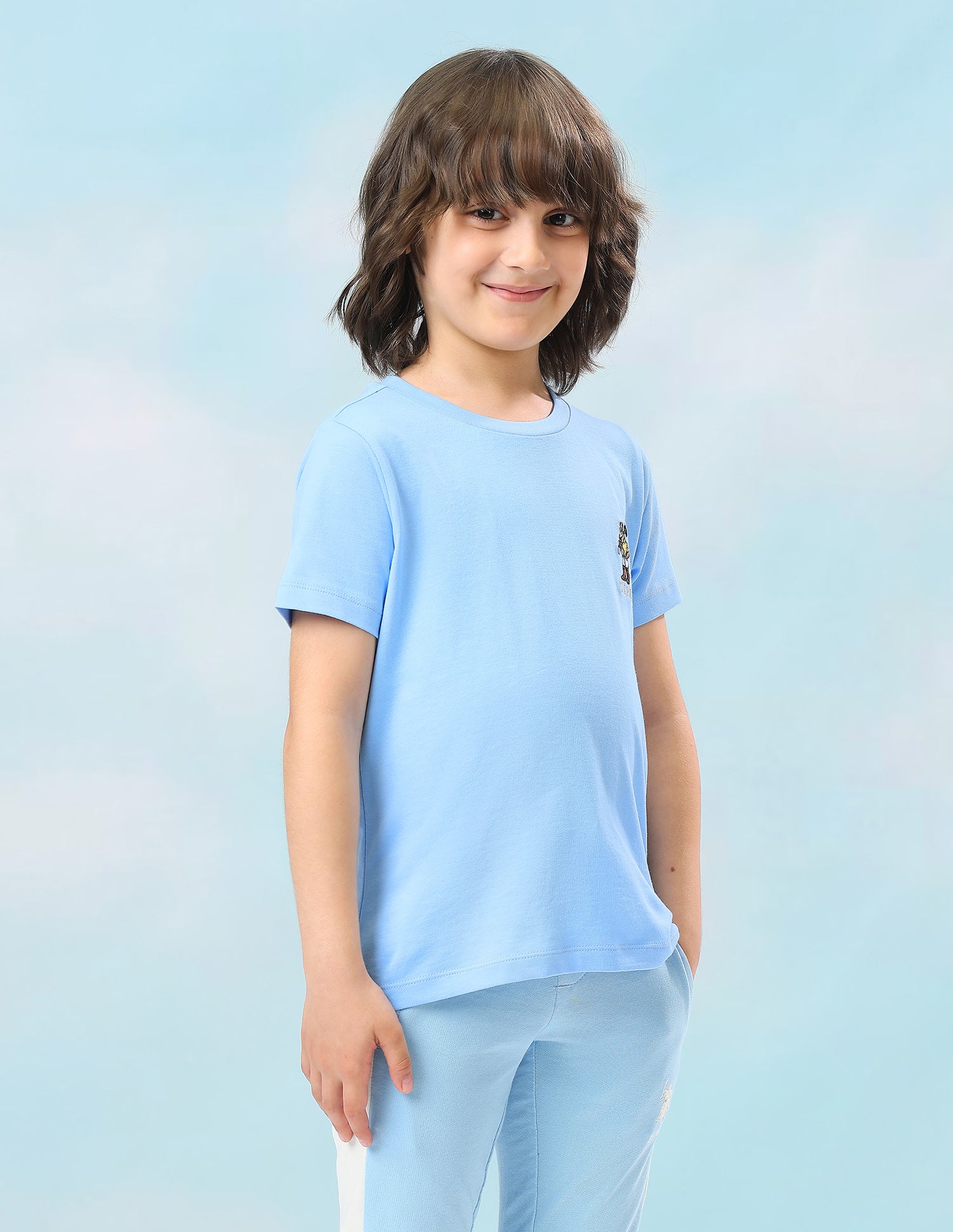 Solid Regular Fit T-Shirt Blue - U.S. Polo Assn. India | Large