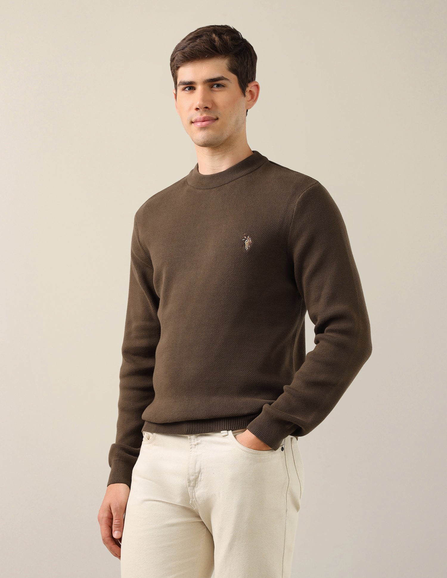 Solid Regular Fit Sweater Brown - U.S. Polo Assn. India | Large