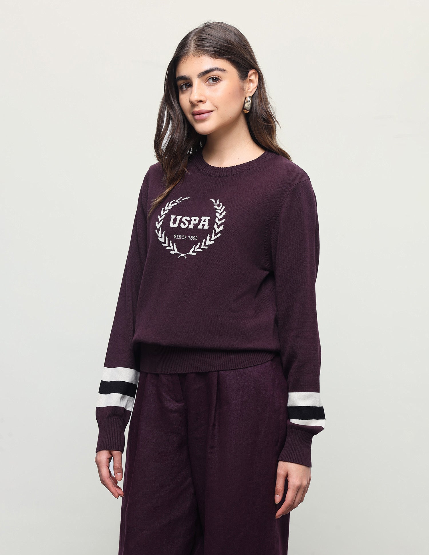 Brand Patterned Knit Regular Fit Sweater Purple - U.S. Polo Assn. India | Large