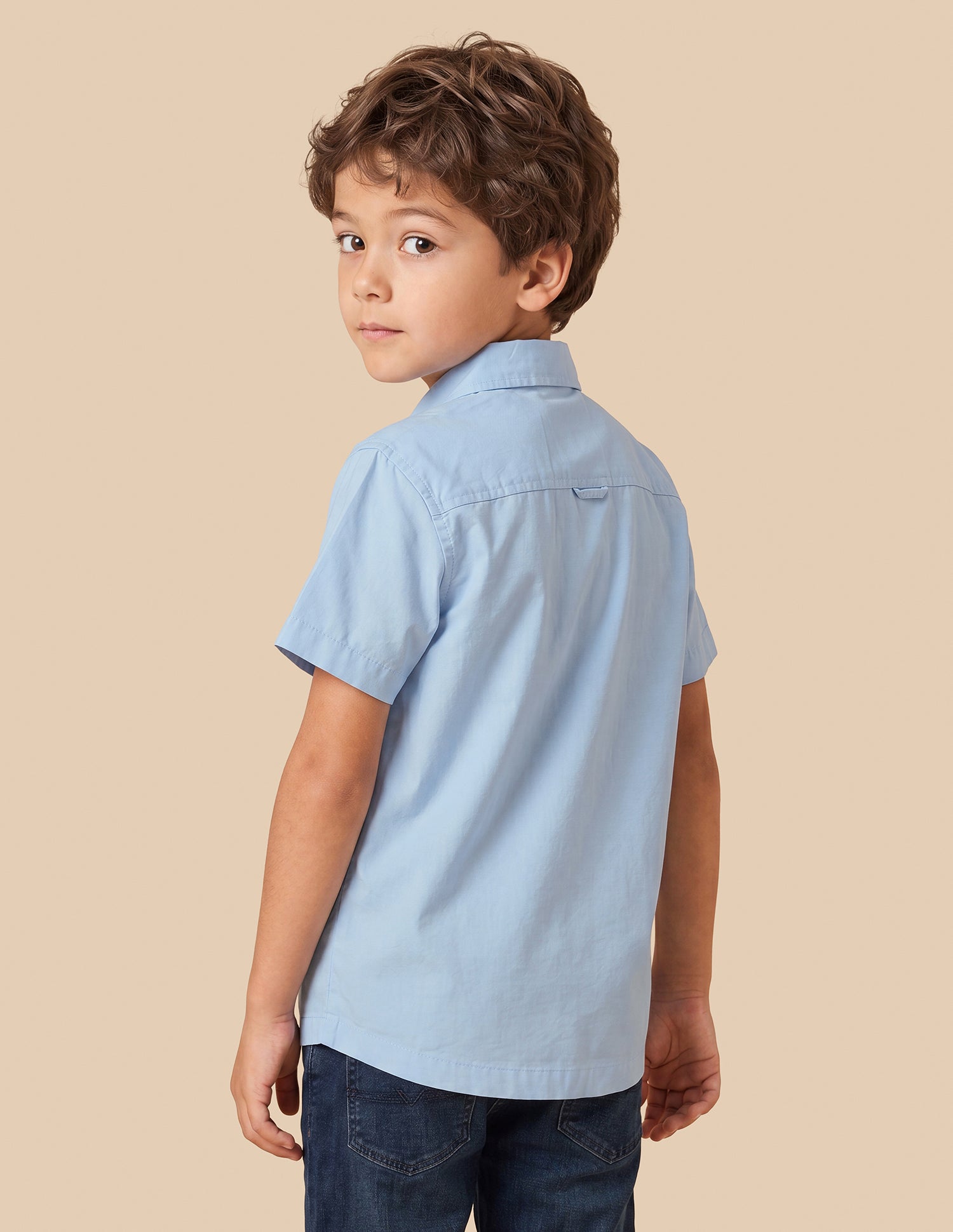 Solid Regular Fit Shirt Light Blue - U.S. Polo Assn. India | Large