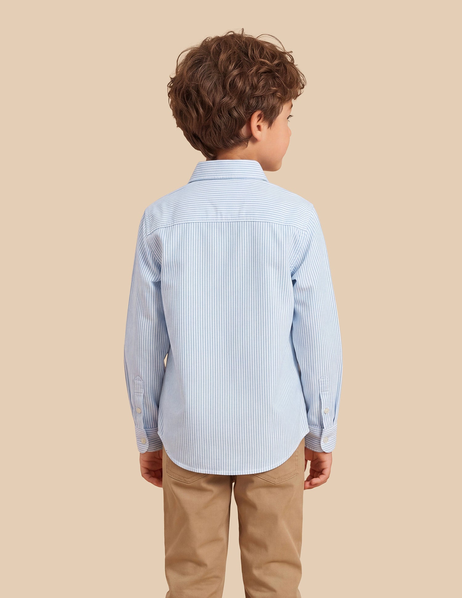 Vertical Striped Oxford Shirt Light Blue - U.S. Polo Assn. India | Large