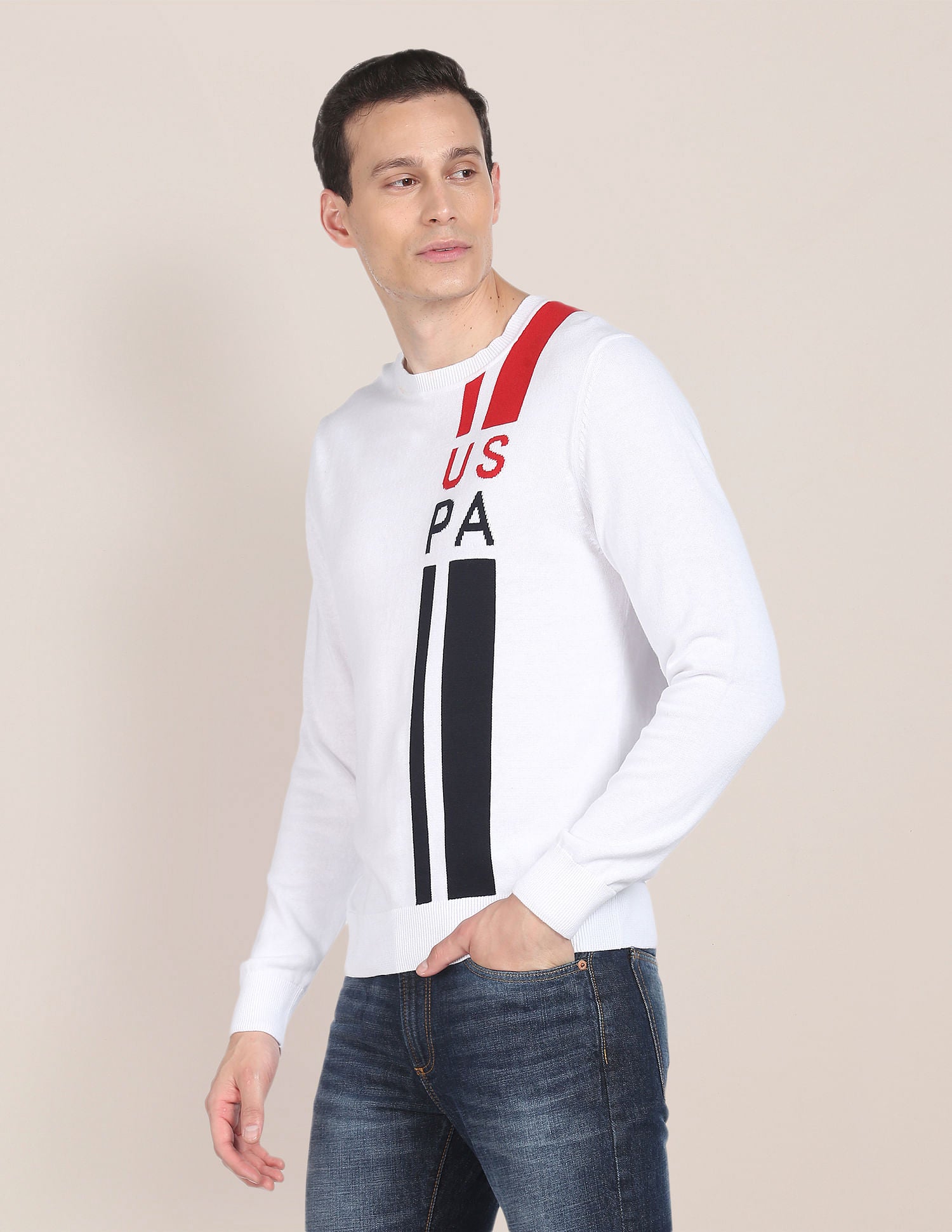 Crew Neck Patterned Knit Sweater White - U.S. Polo Assn. India | Large