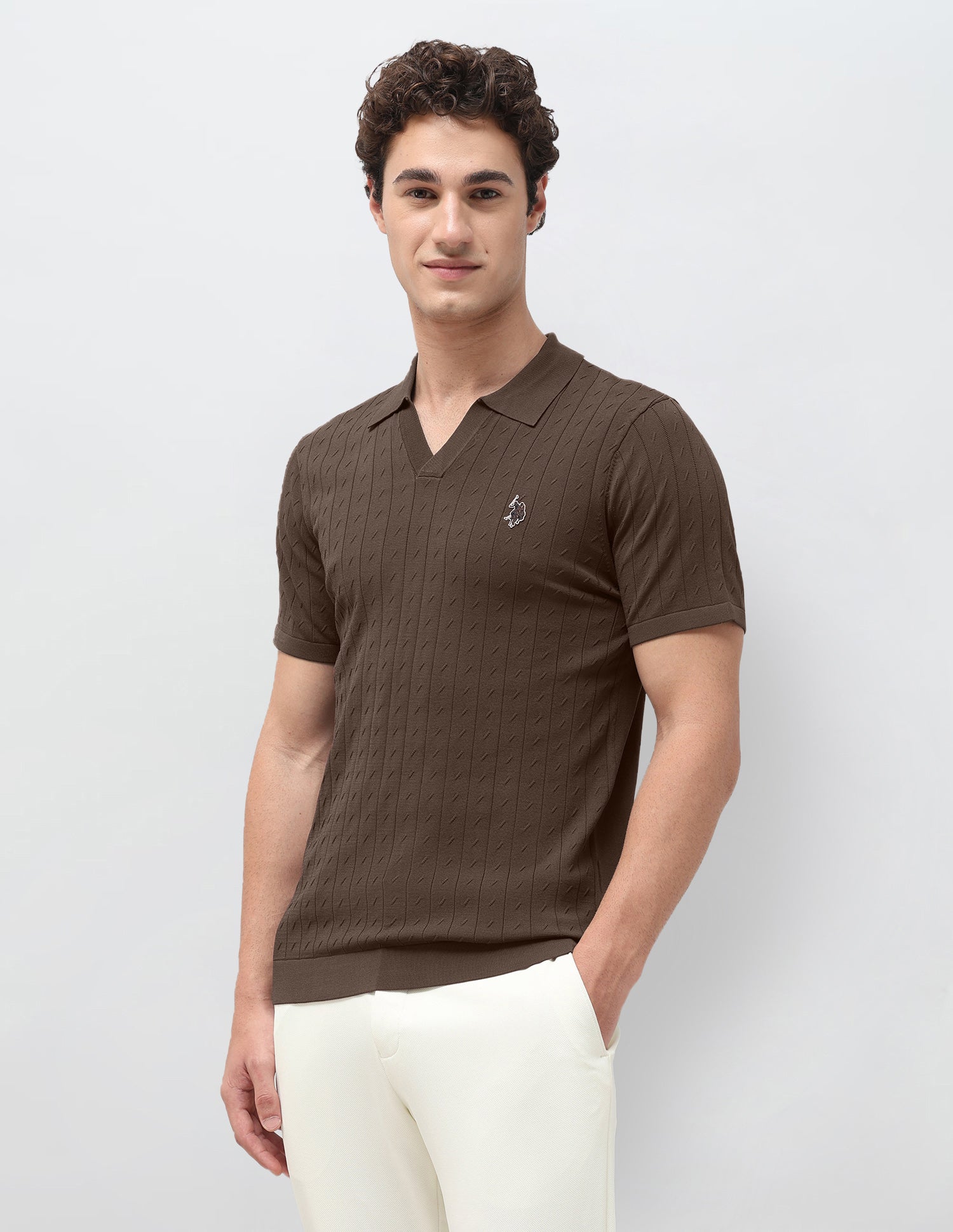 Self Design Vertical Striped Slim Fit Polo Shirt Brown - U.S. Polo Assn. India | Large