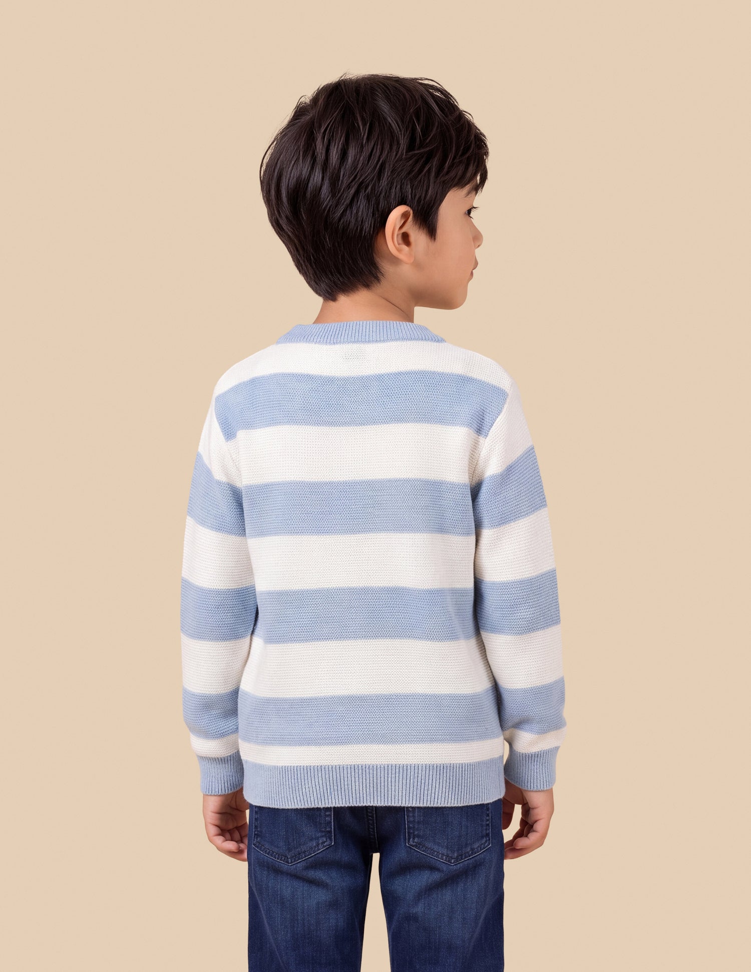 Horizontal Striped Regular Fit Sweater Light Blue - U.S. Polo Assn. India | Large
