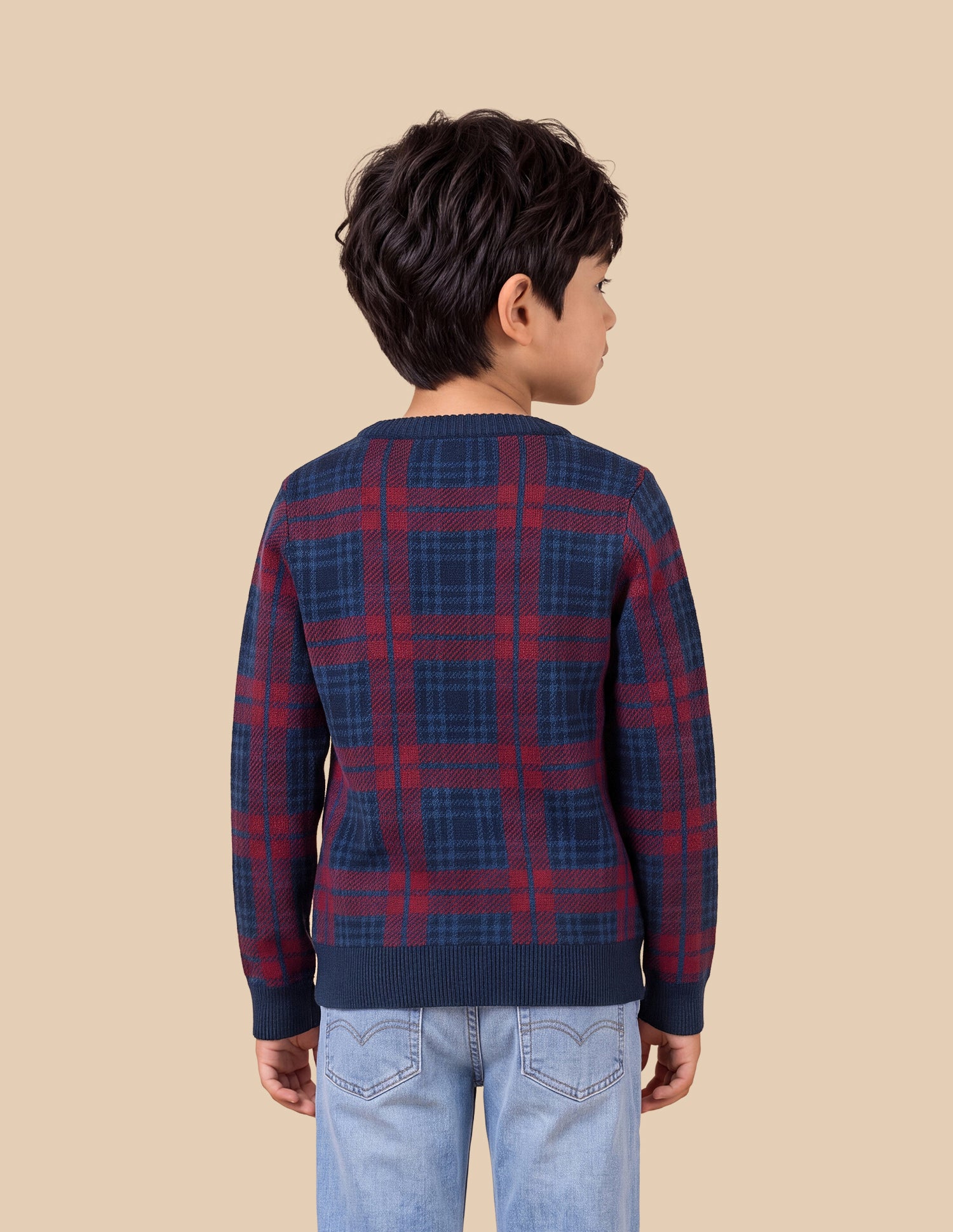 Checked Regular Fit Sweater Maroon - U.S. Polo Assn. India | Large