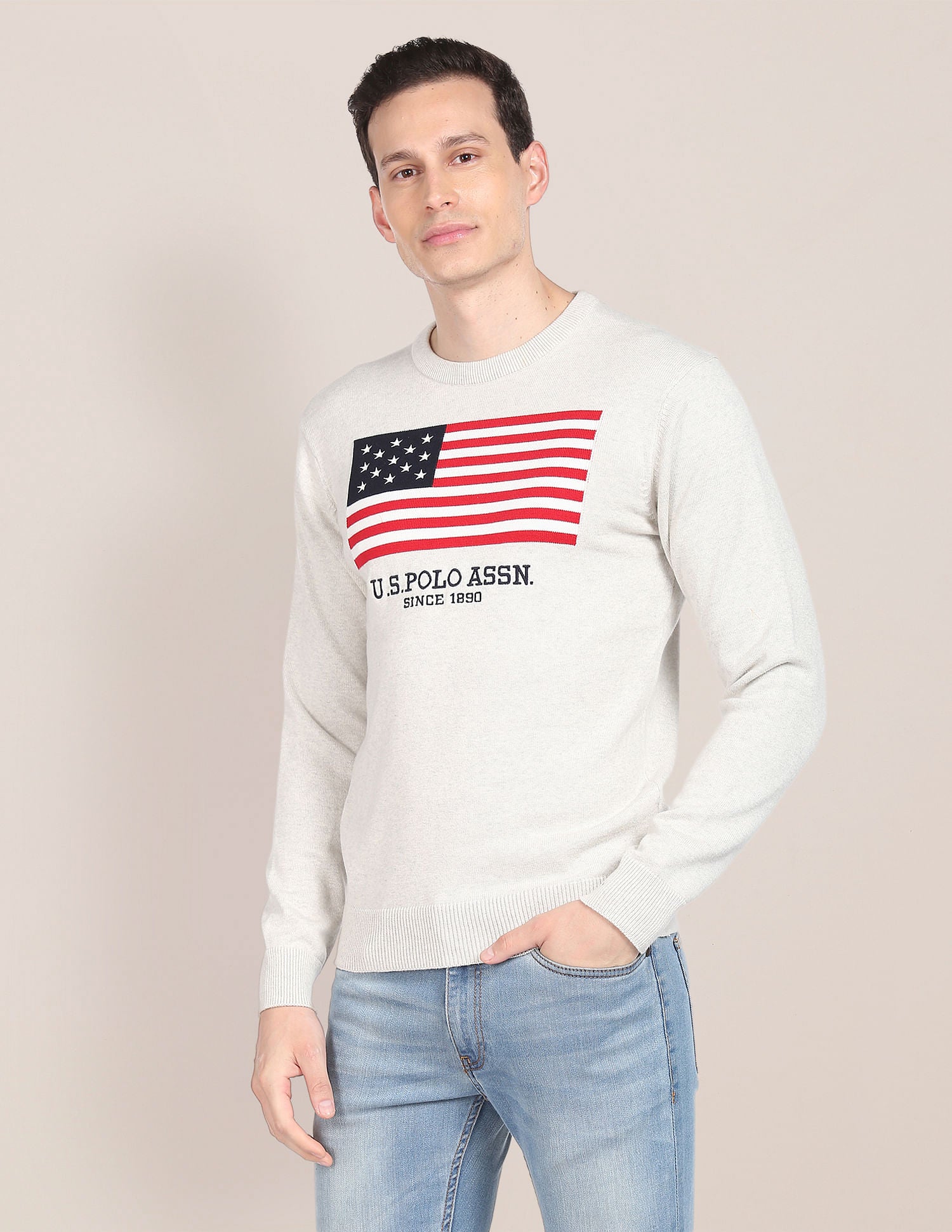 Crew Neck Heathered Patterned Knit Sweater Ecru - U.S. Polo Assn. India | Large