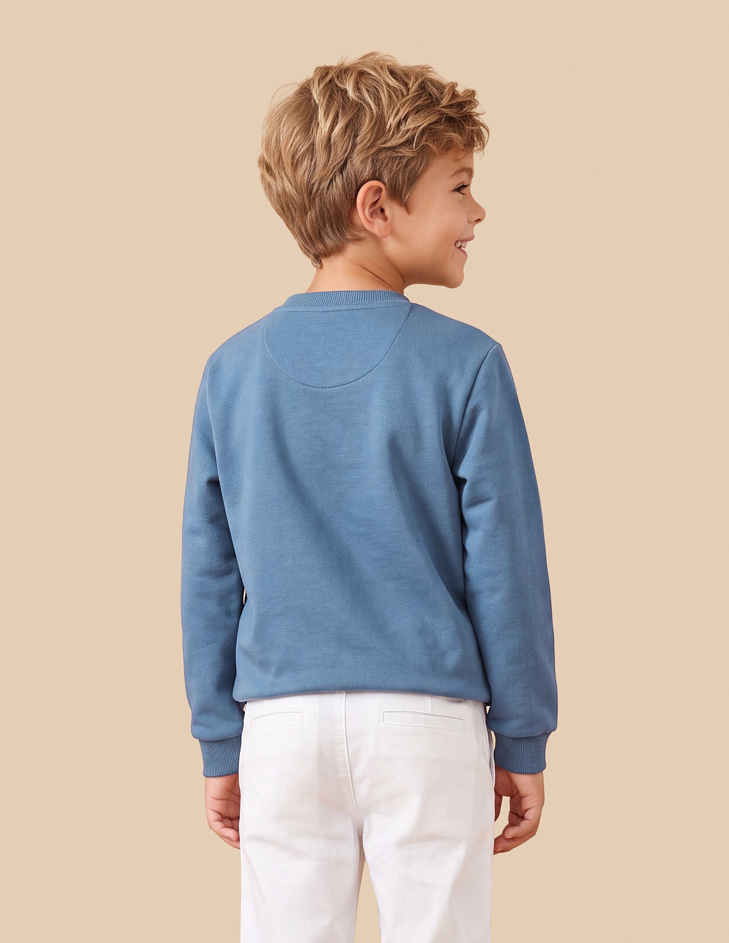 Graphic Brand Printed Regular Fit Sweatshirt Light Blue - U.S. Polo Assn. India | Large