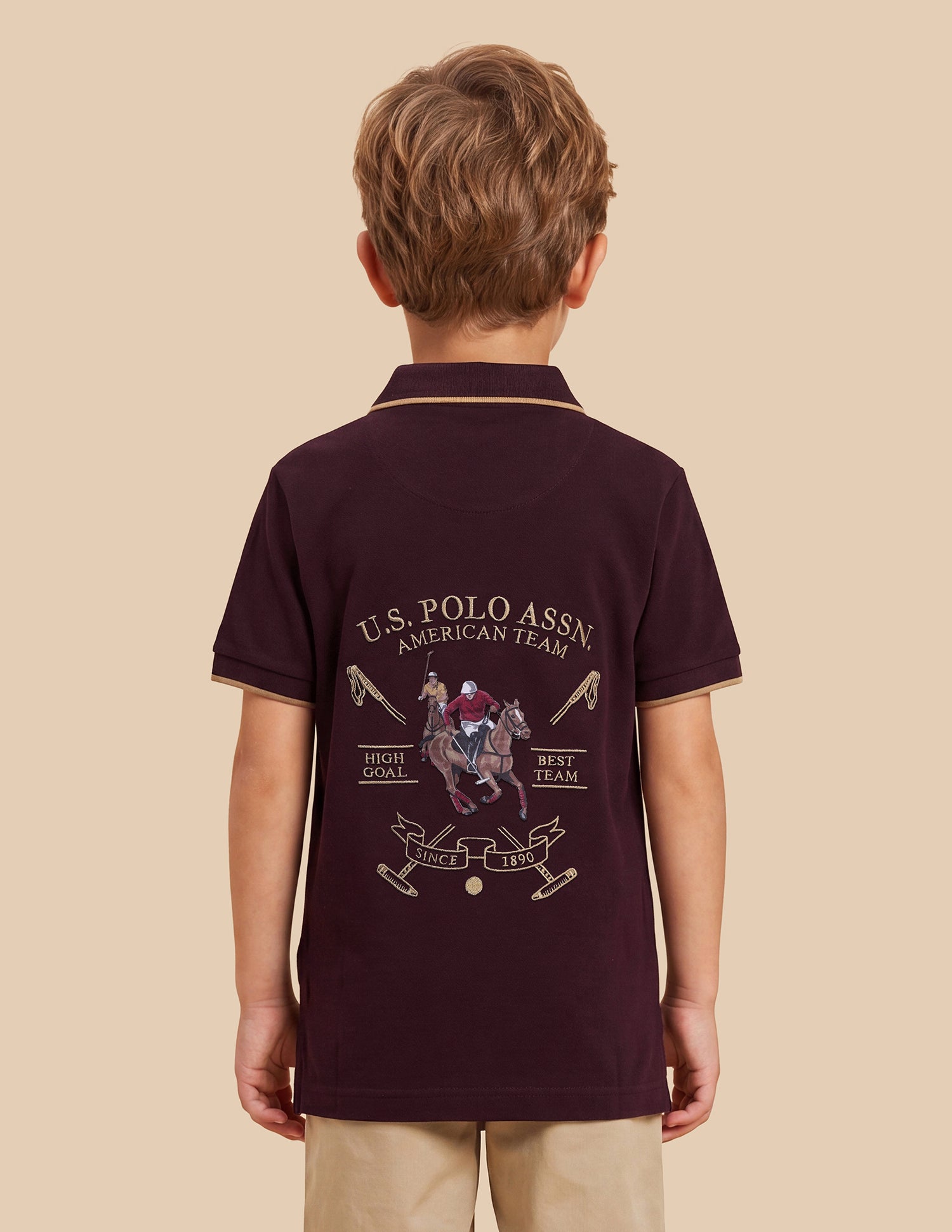 Graphic Brand Embroidered Regular Fit Polo Shirt Wine - U.S. Polo Assn. India | Large