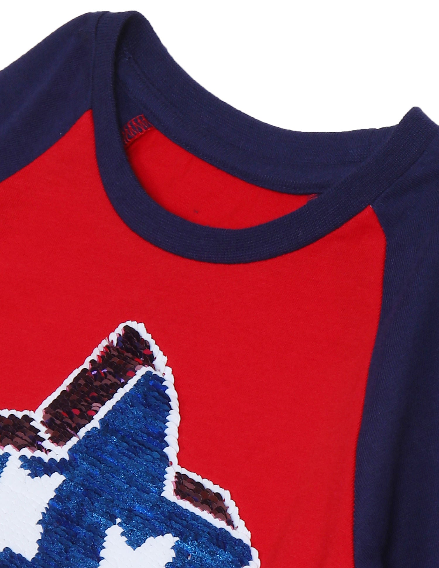 Raglan Sleeve Embellished T-Shirt Red - U.S. POLO ASSN. | Large