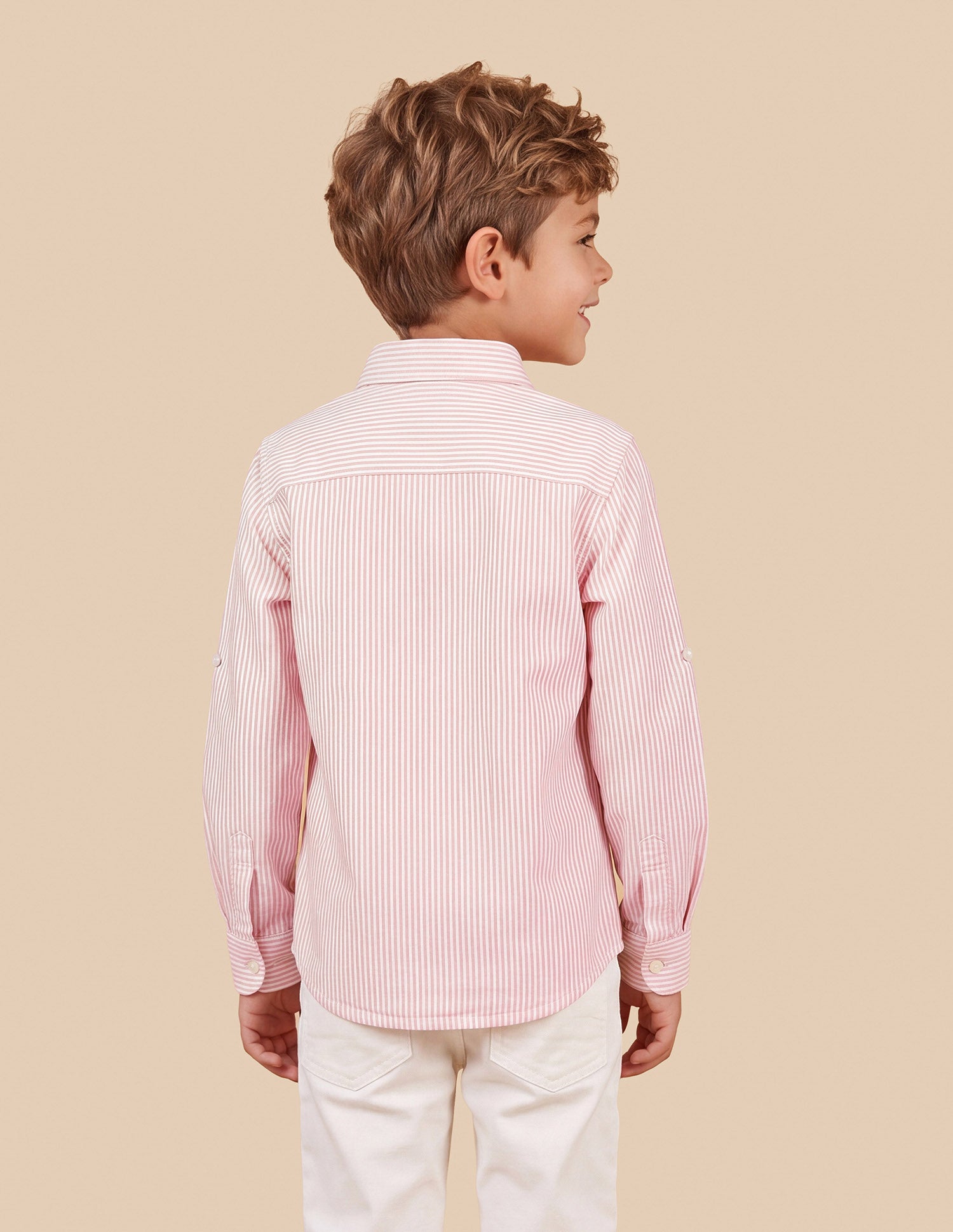 Vertical Striped Oxford Shirt Pink - U.S. Polo Assn. India | Large