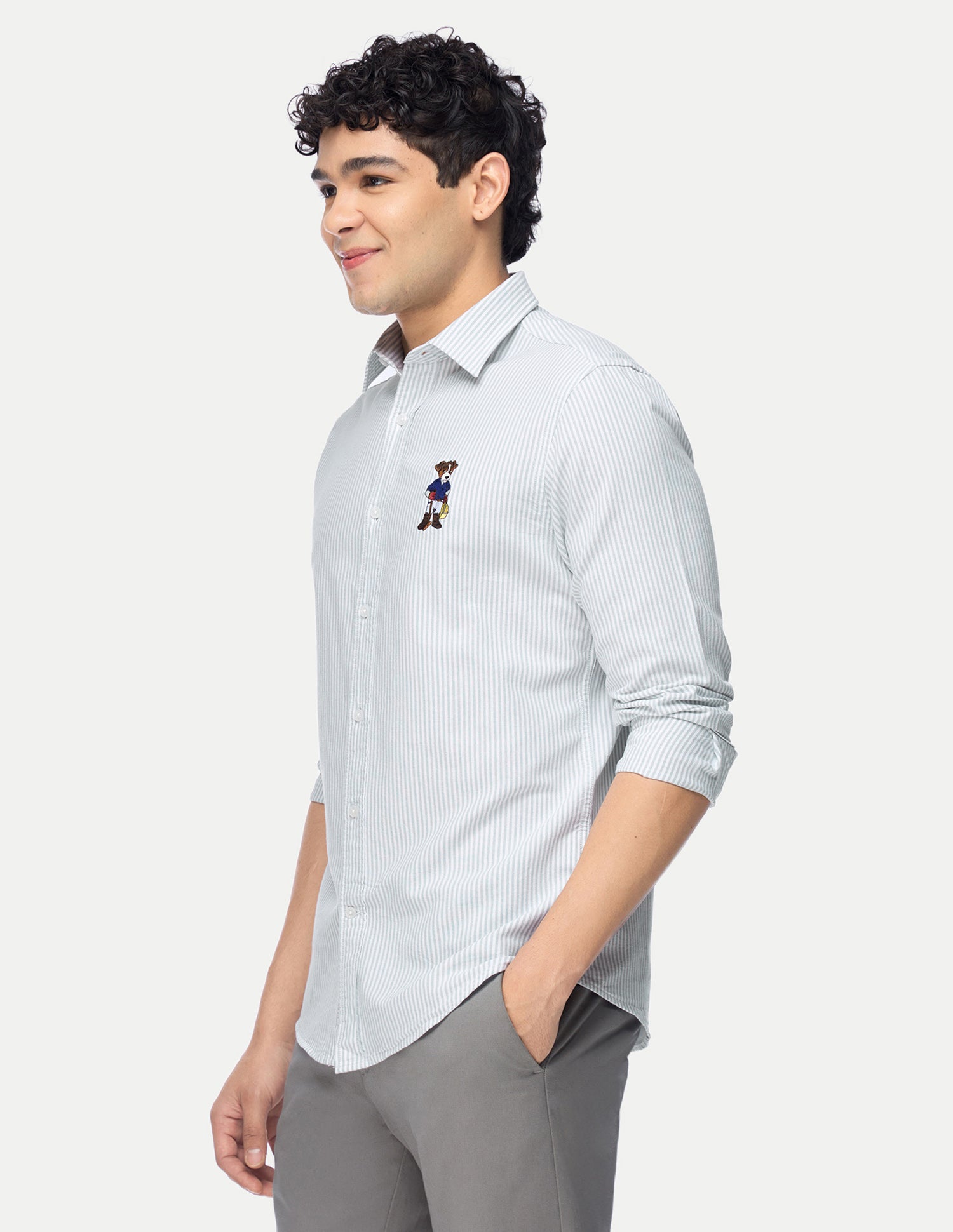 Vertical Striped Oxford Shirt Light Green - U.S. Polo Assn. India | Large