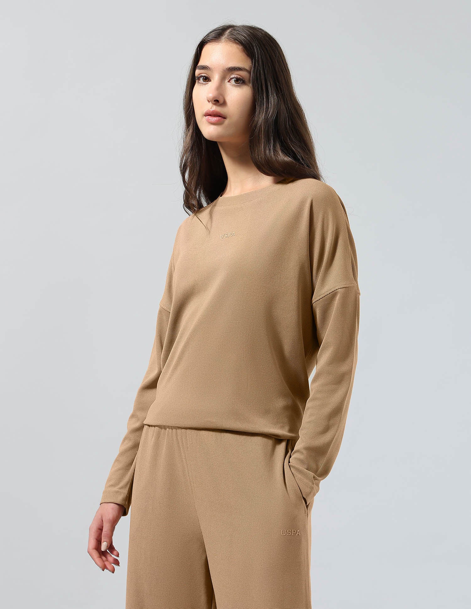 Textured Relaxed Fit T-Shirt Brown - U.S. POLO ASSN. | Large