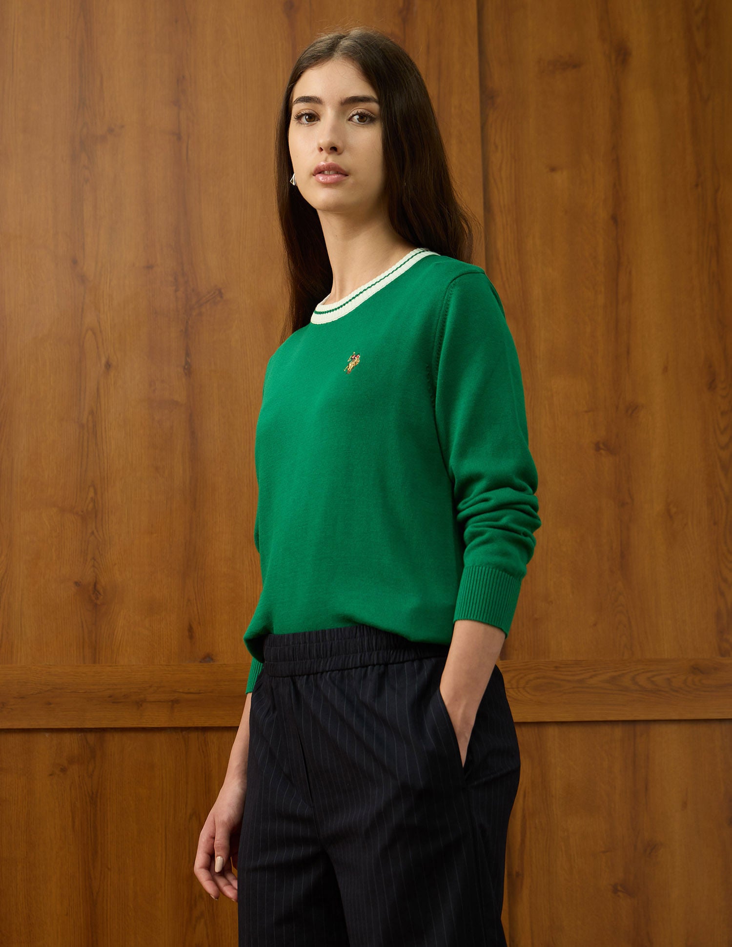 Relaxed Fit Solid Sweater Green - U.S. POLO ASSN. | Large