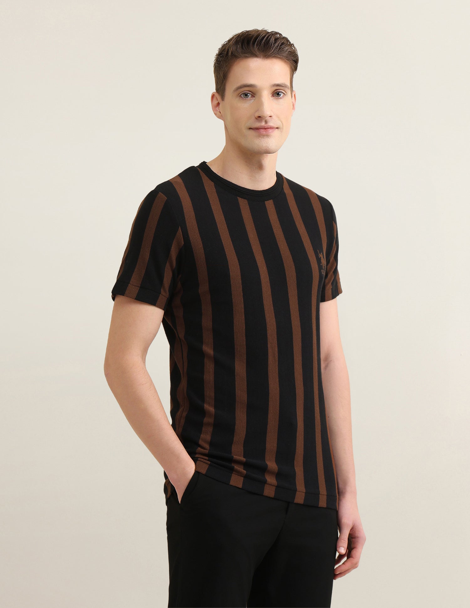 Vertical Striped Sotogrande Slim Fit T-Shirt Black - U.S. Polo Assn. India | Large