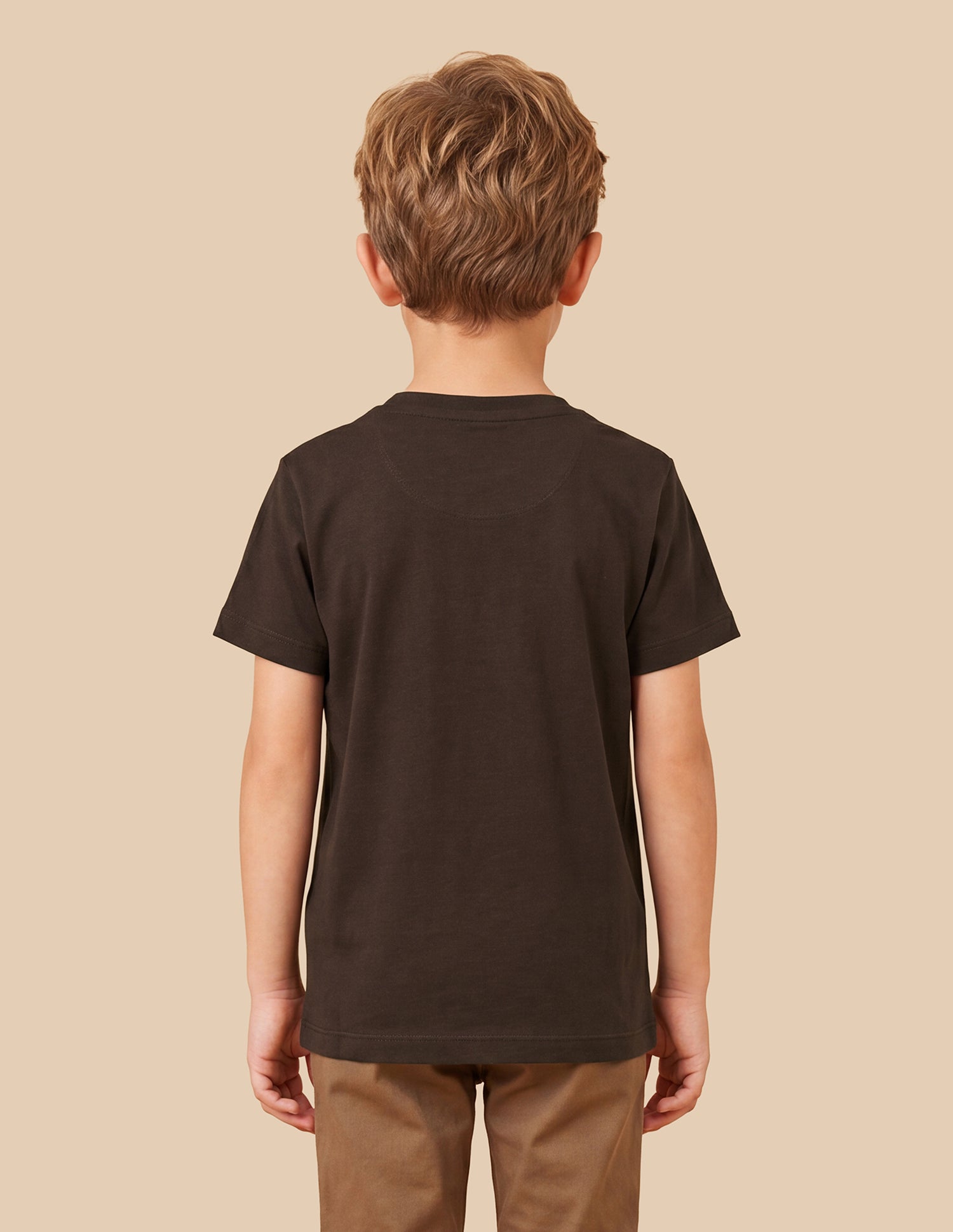 Brand Printed Regular Fit T-Shirt Brown - U.S. Polo Assn. India | Large