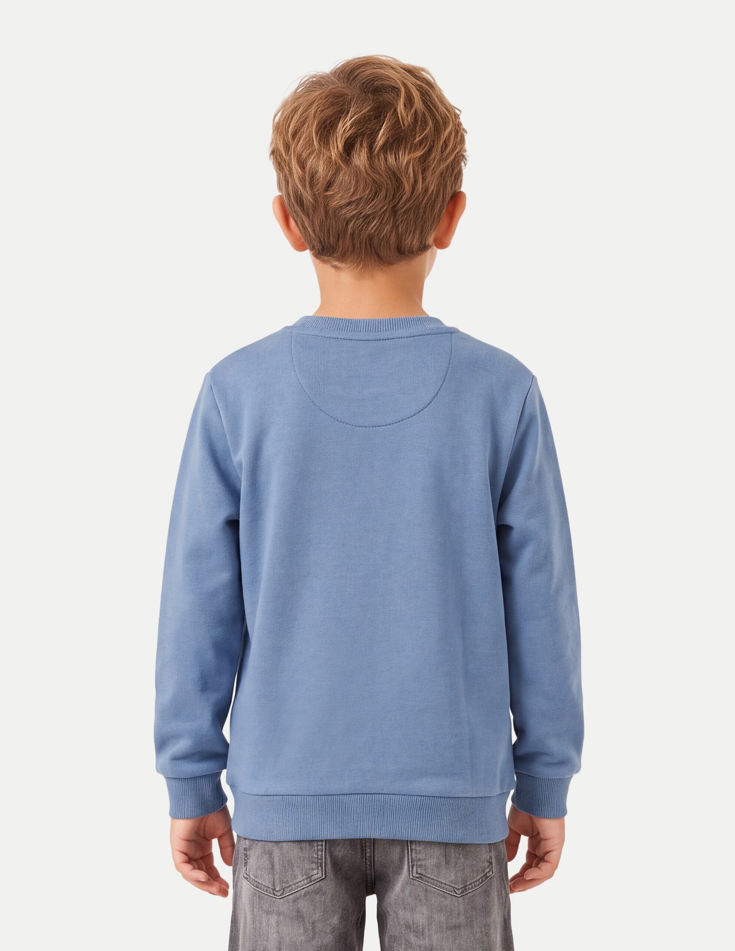 Solid Regular Fit Sweatshirt Dark Blue - U.S. Polo Assn. India | Large